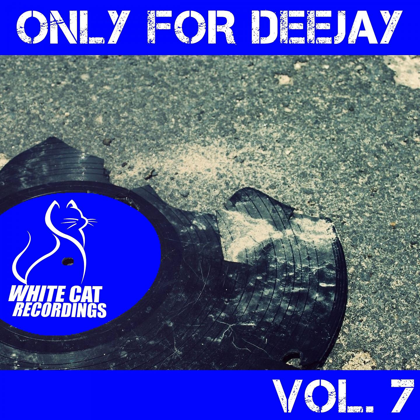 Постер альбома Only for Deejay Vol. 7