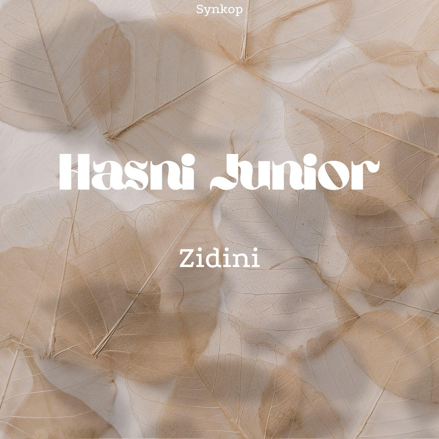 Постер альбома Zidini