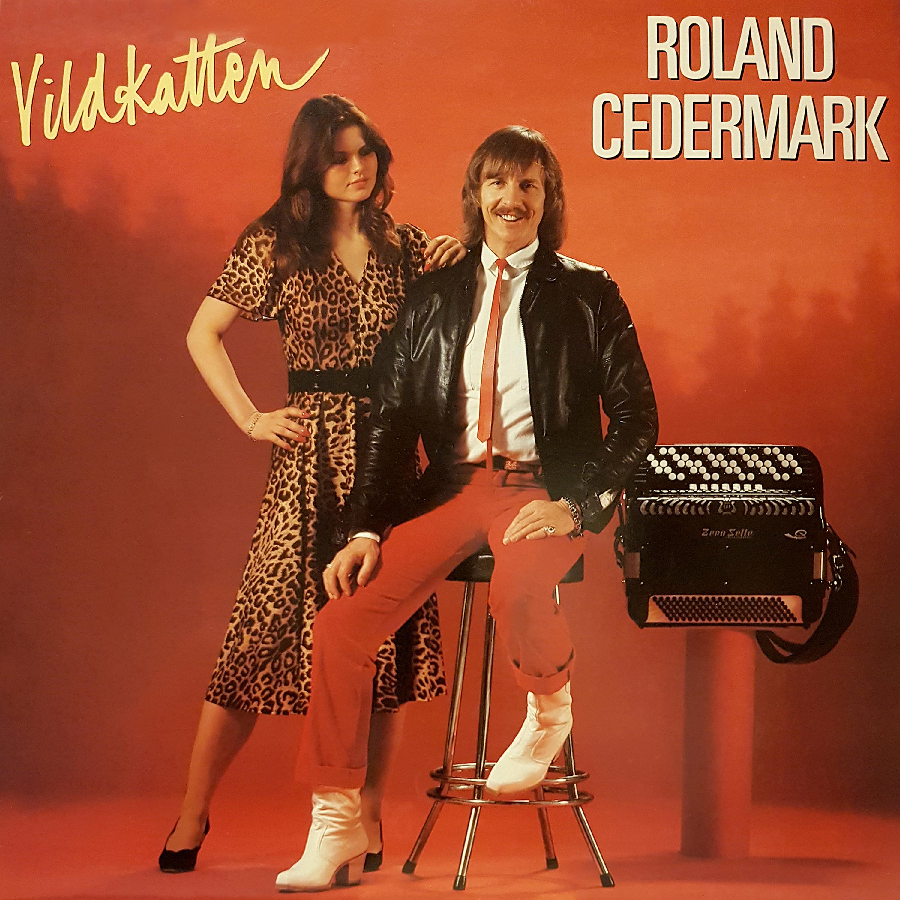 Постер альбома Vildkatten