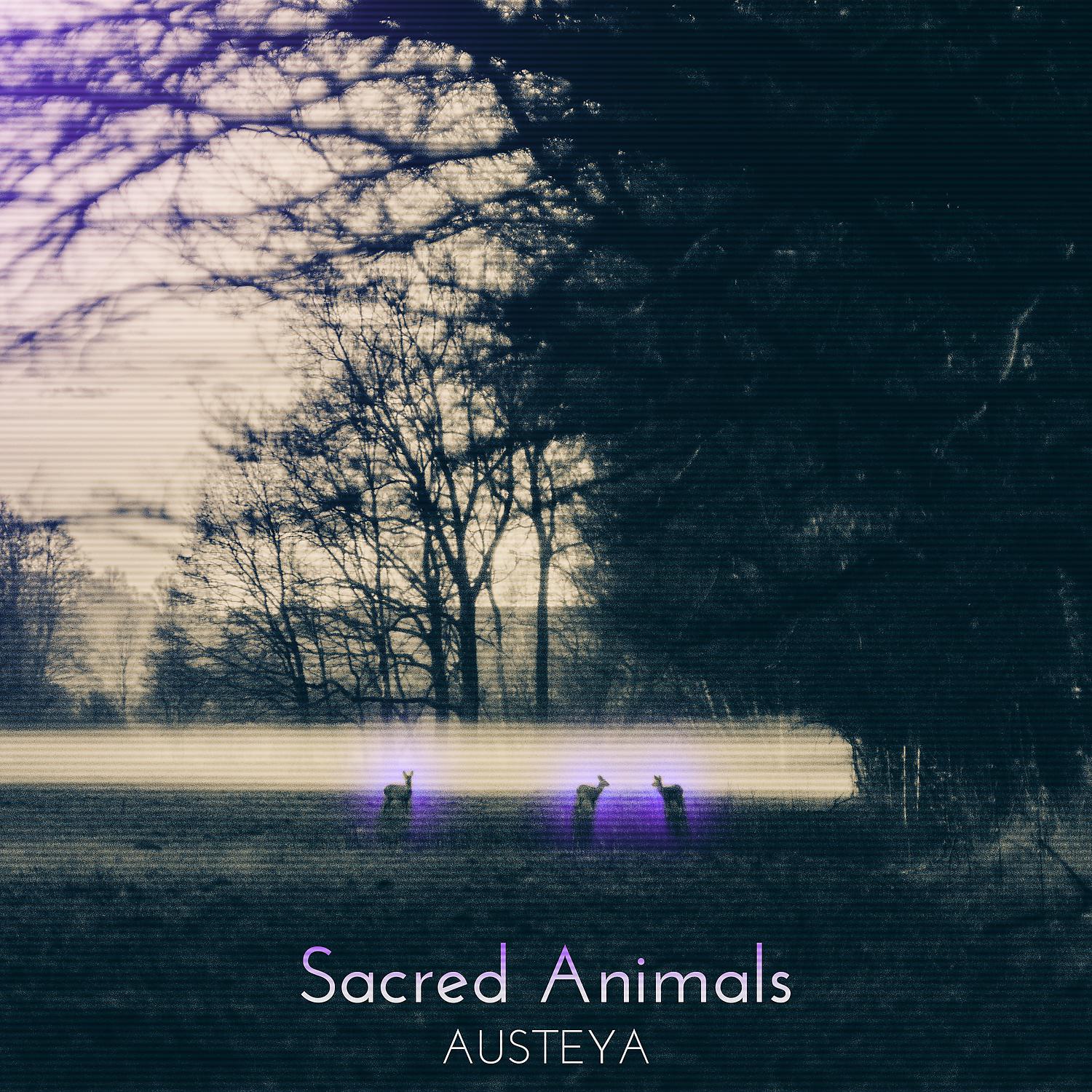 Постер альбома Sacred Animals