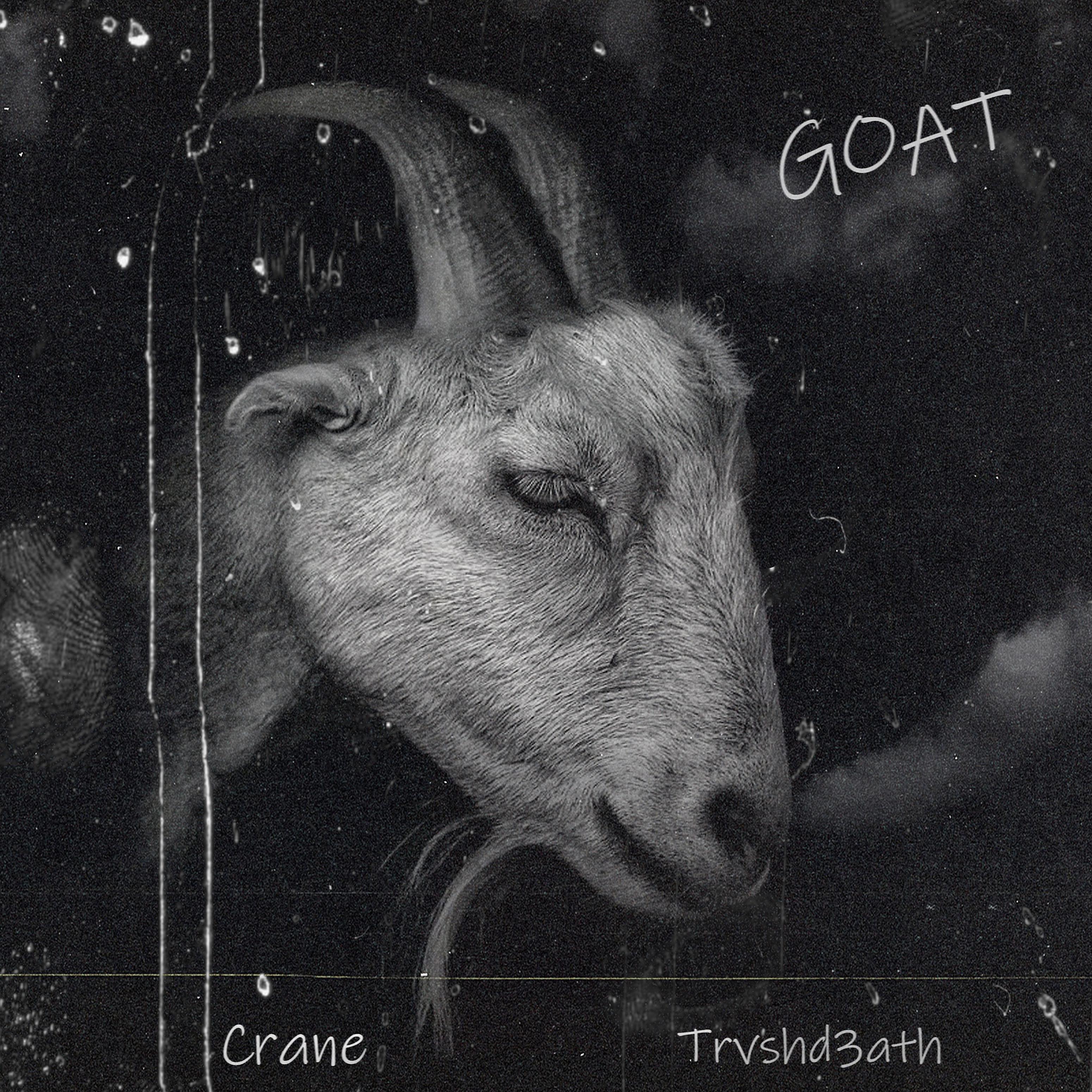 Постер альбома Goat