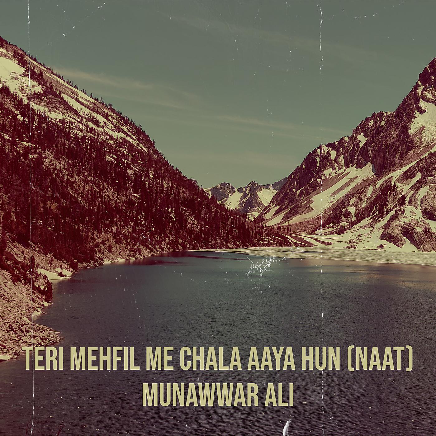 Постер альбома Teri Mehfil Me Chala Aaya Hun (Naat)