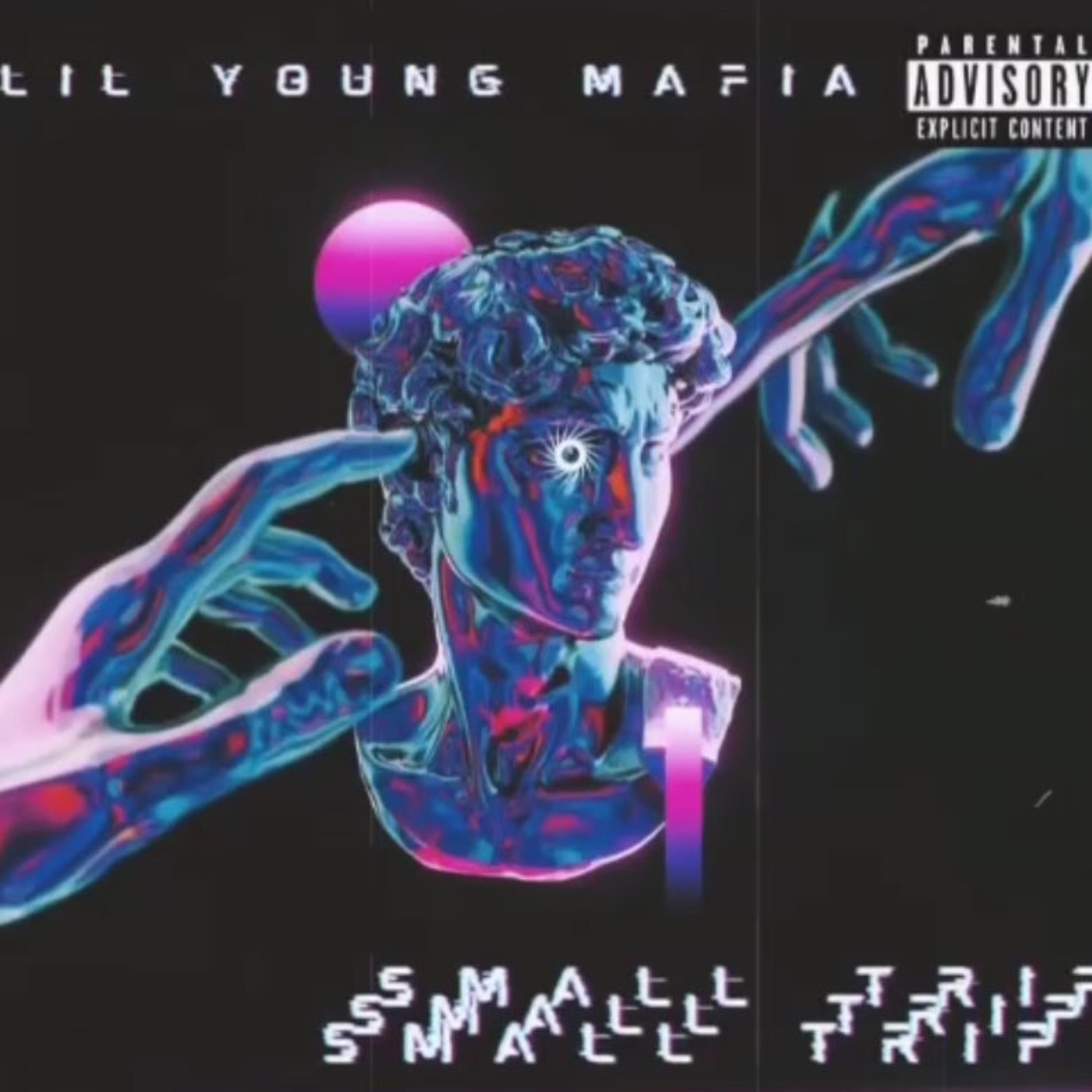 Постер альбома Lil Young Mafia