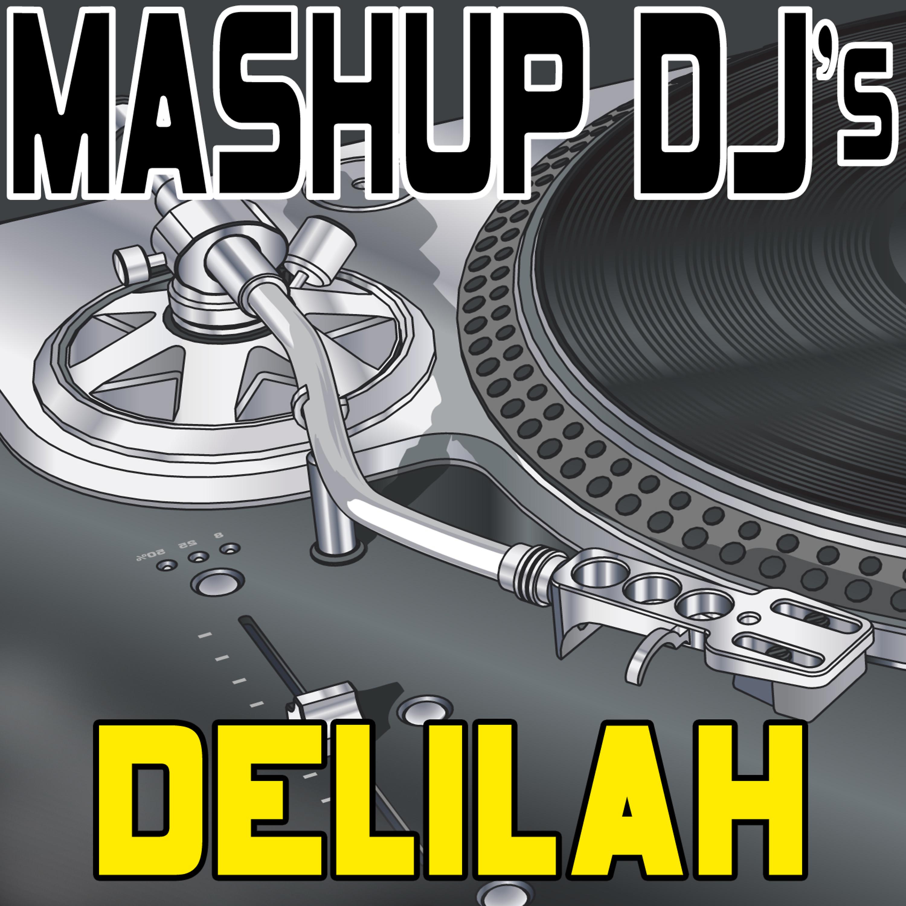 Постер альбома Delilah (Remix Tools For Mash-Ups)