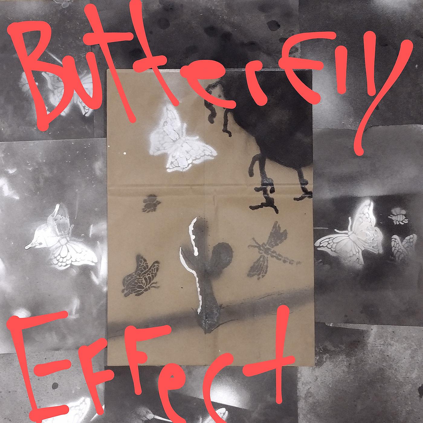 Постер альбома Butterfly Effect
