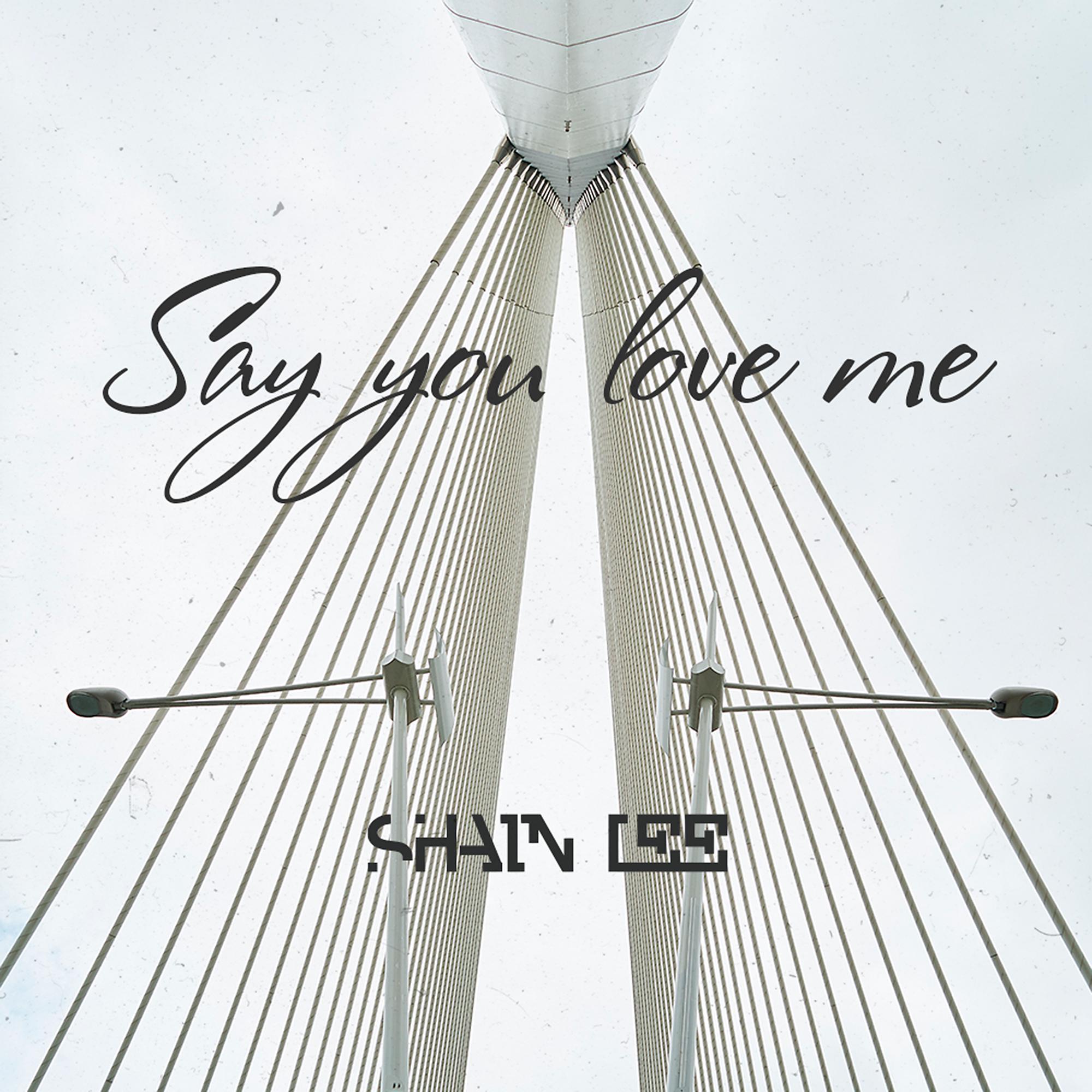 Постер альбома Say You Love Me