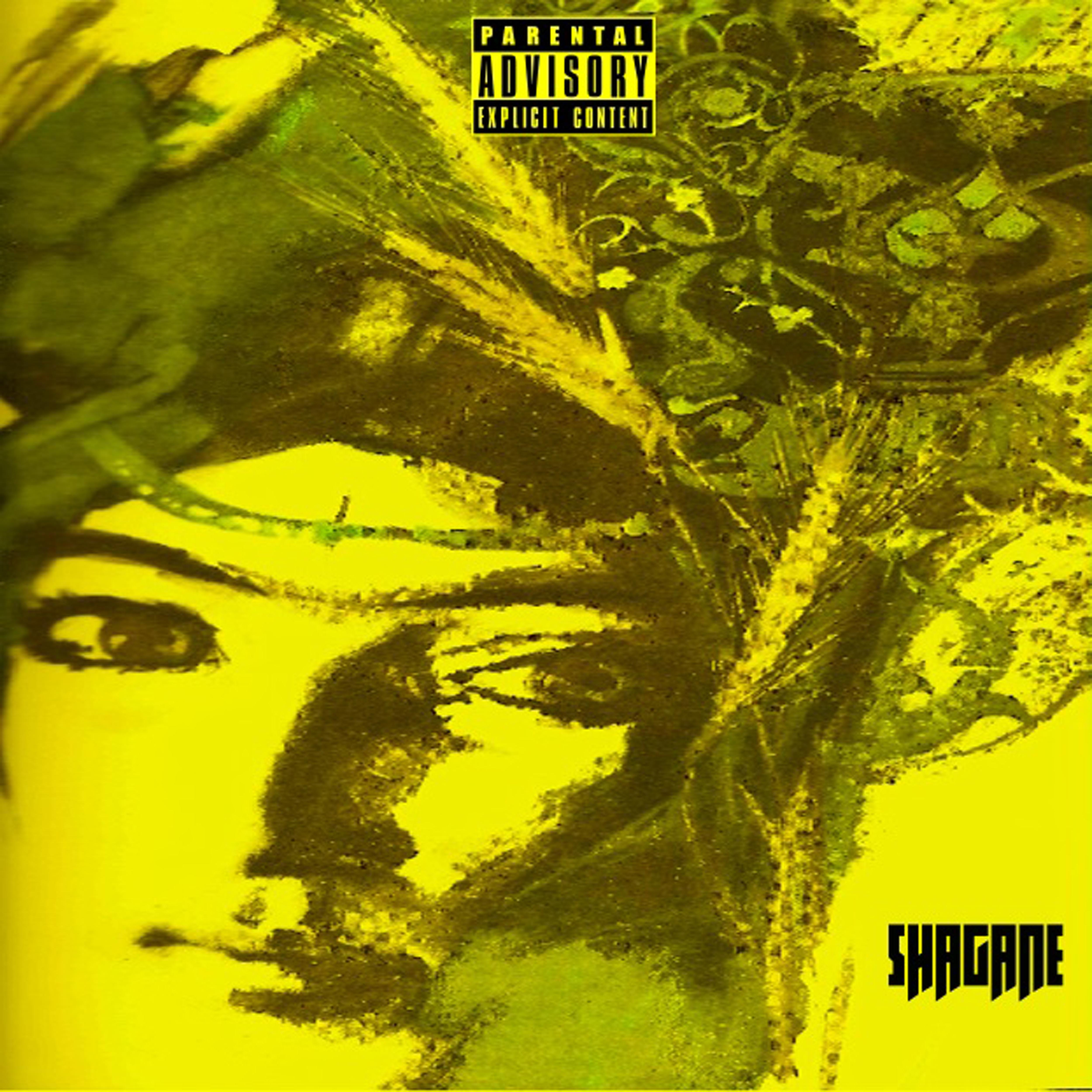 Постер альбома Shagane
