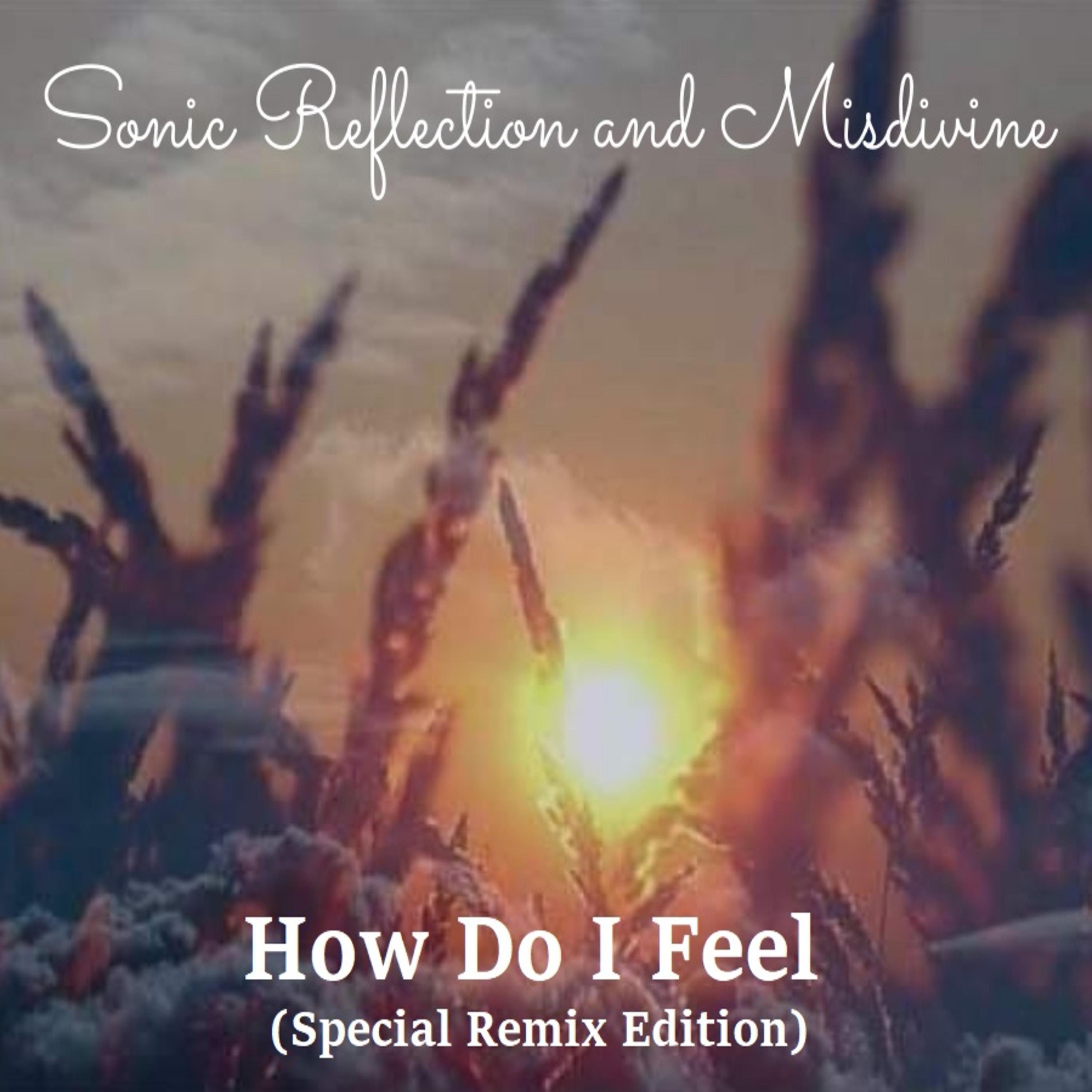 Постер альбома How Do I Feel (Special Remix Edition)