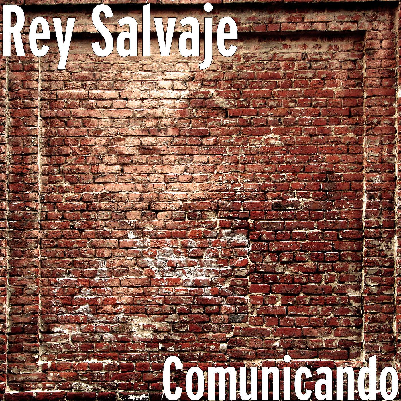 Постер альбома Comunicando