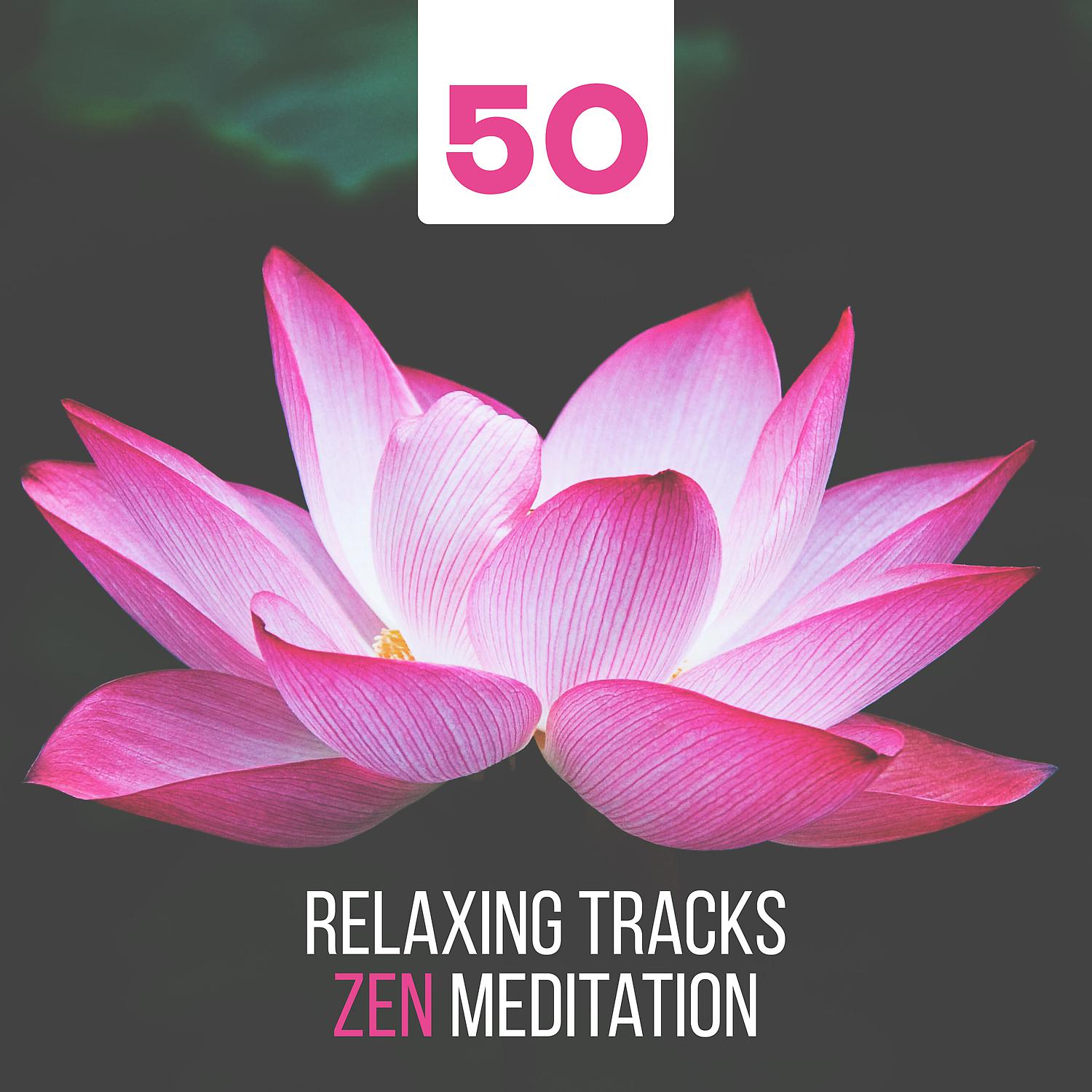 Постер альбома 50 Relaxing Tracks Zen Meditation: Calm Nature & Ambient Instrumental Music - Healing Rain, Ocean Waves, Forest & Animal Sounds for Yoga, Reiki, Spa and Massage