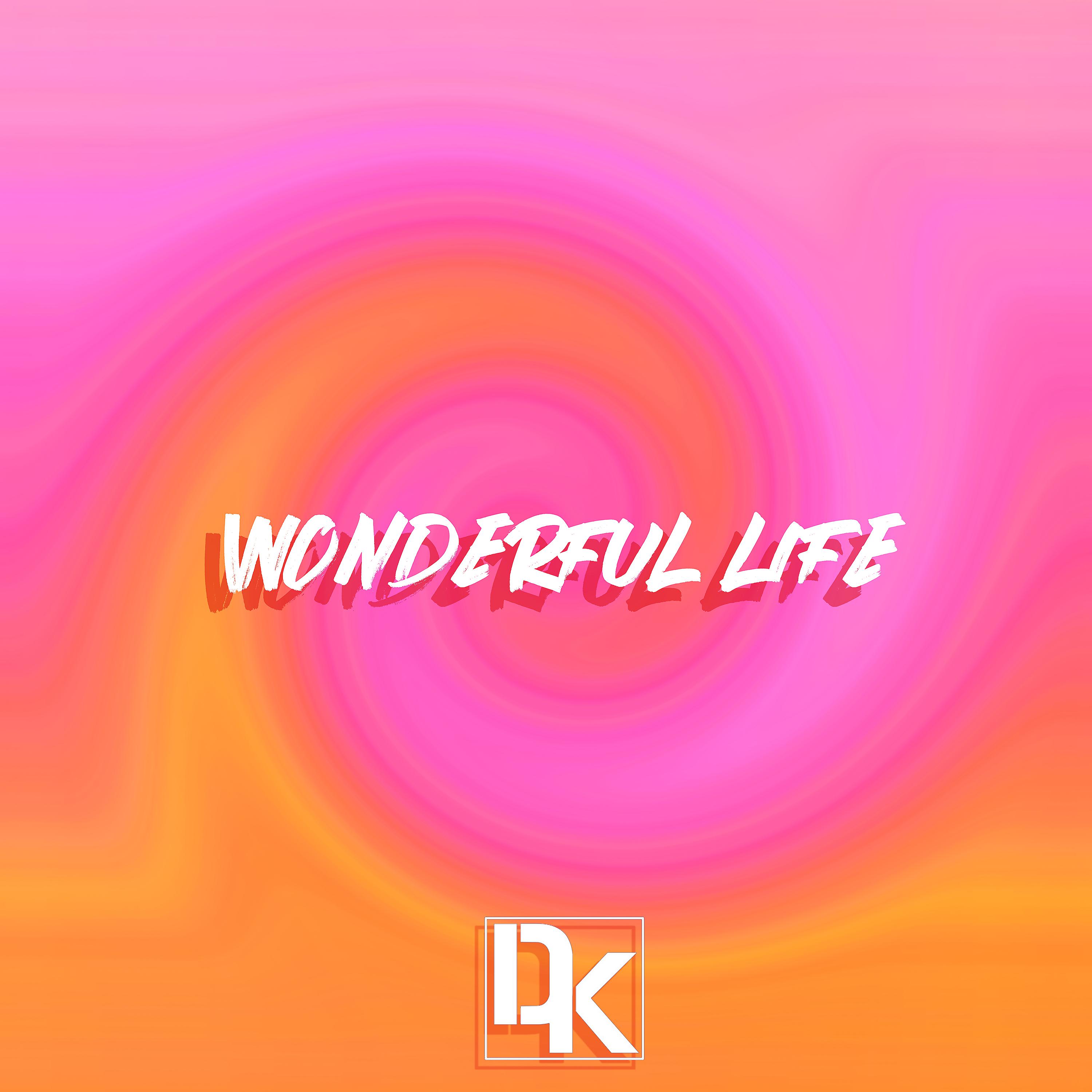 Постер альбома Wonderful Life