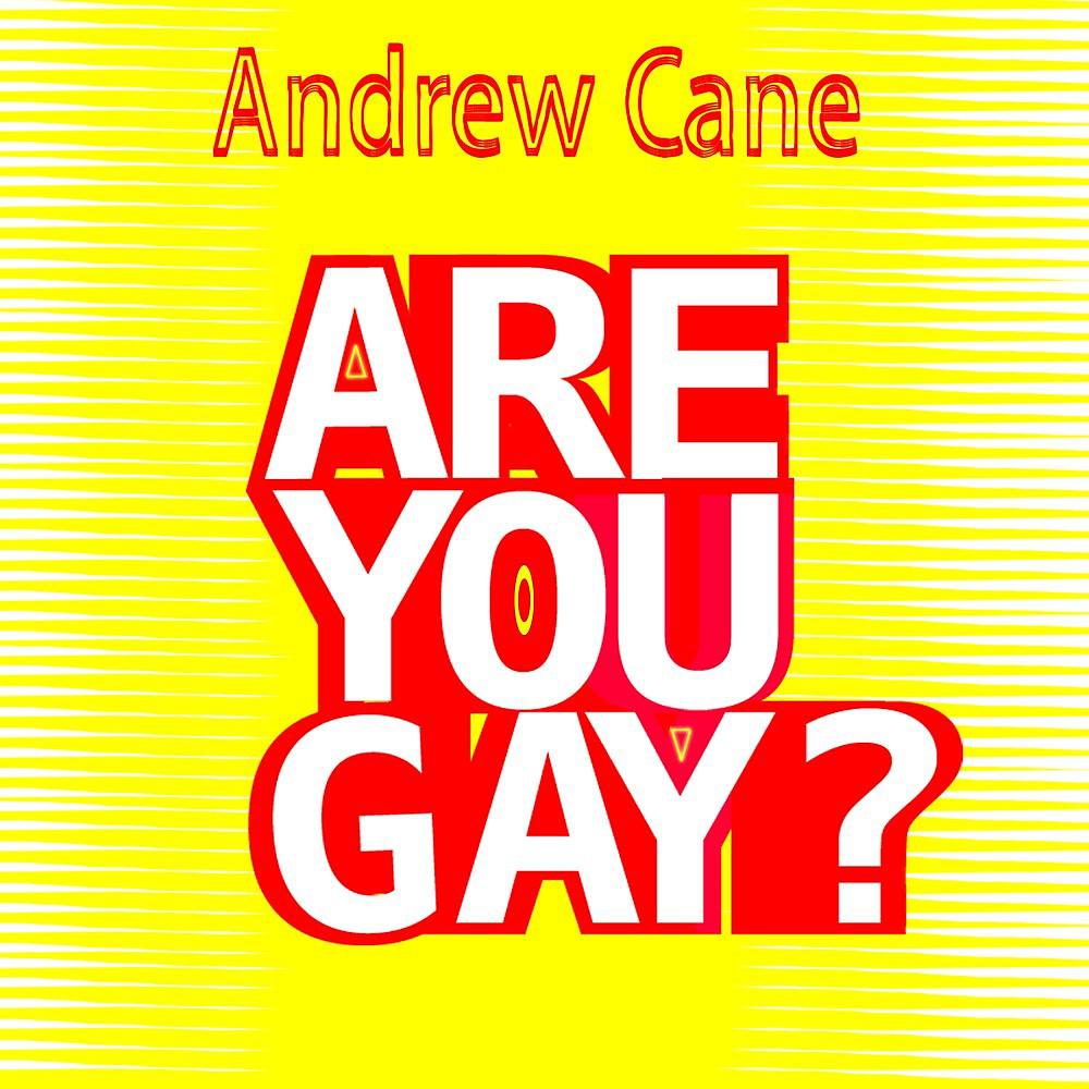 Постер альбома Are You Gay?