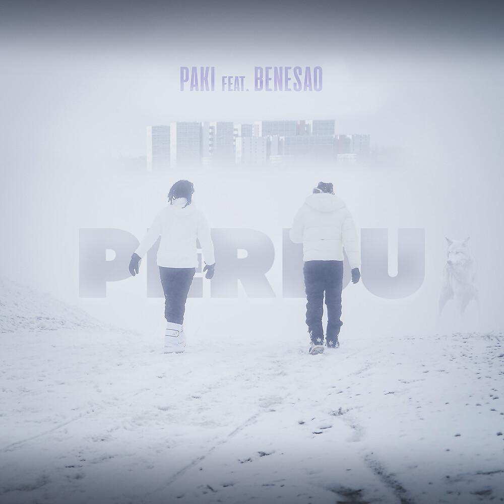 Постер альбома PERDU