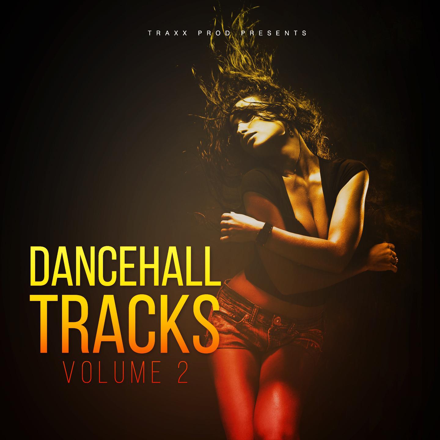 Постер альбома Dancehall Tracks, Vol. 2