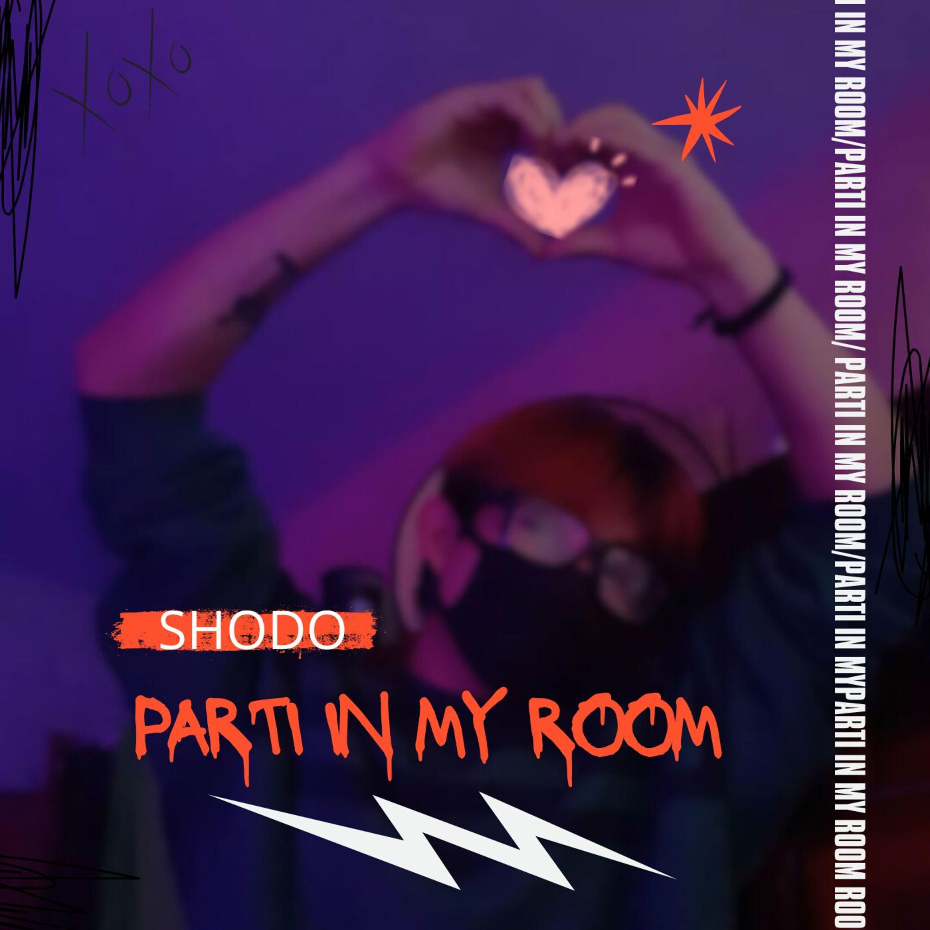 Постер альбома Parti in My Room