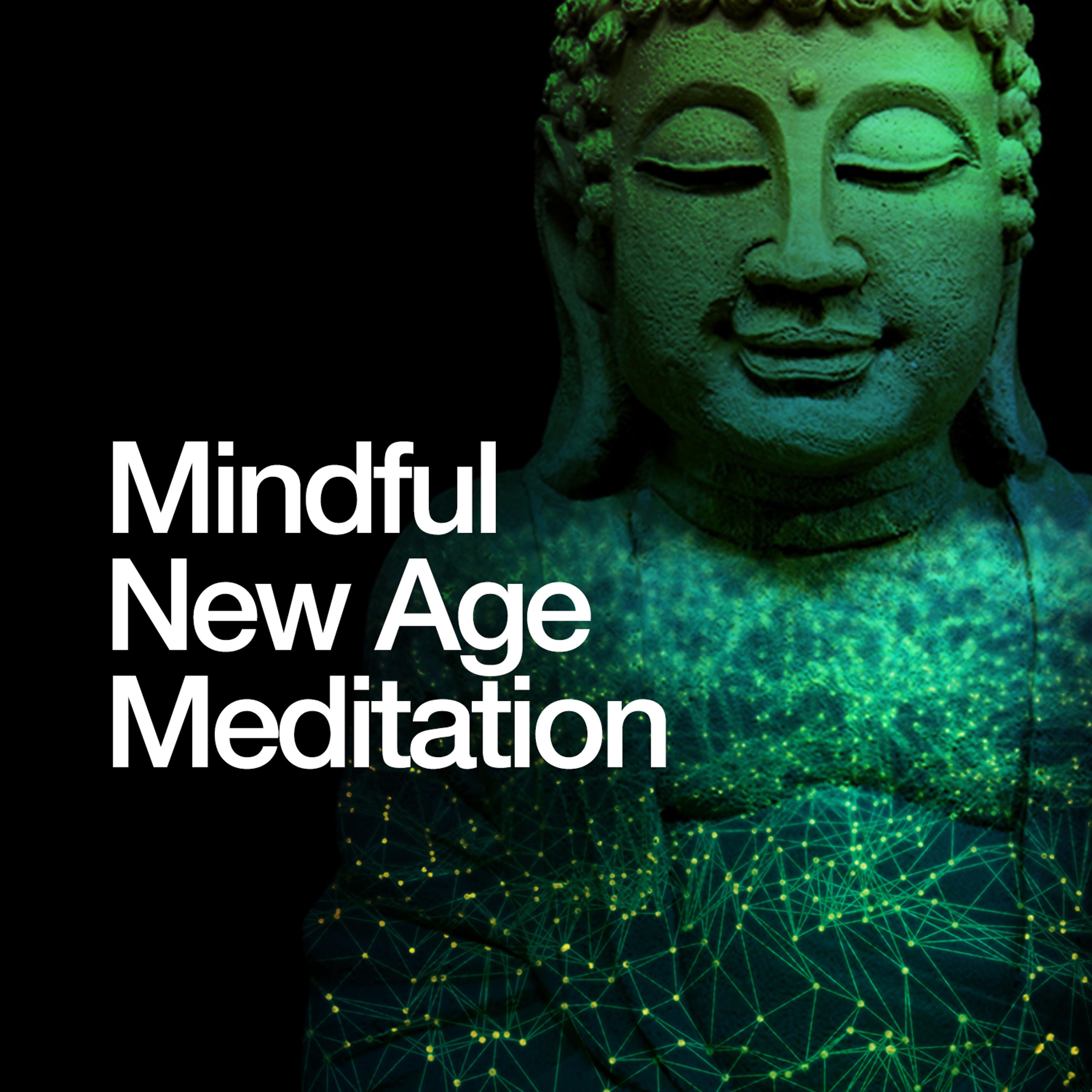 Постер альбома Mindful New Age Meditation