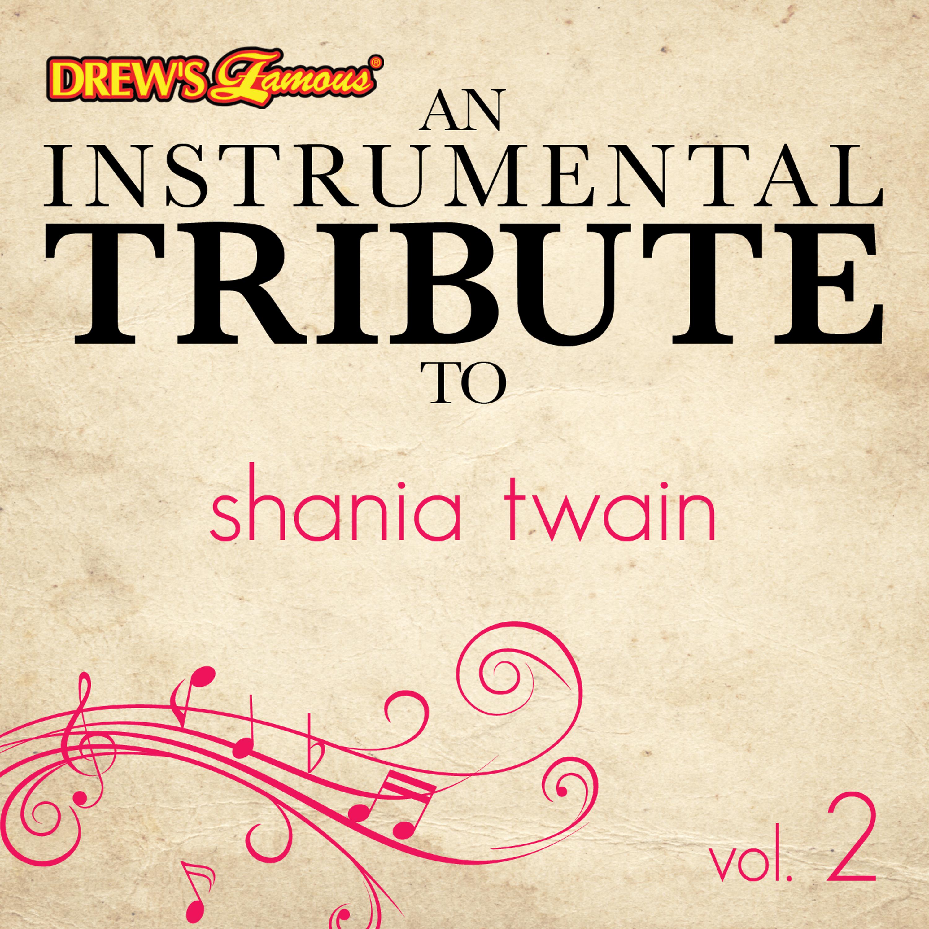 Постер альбома An Instrumental Tribute to Shania Twain, Vol. 2