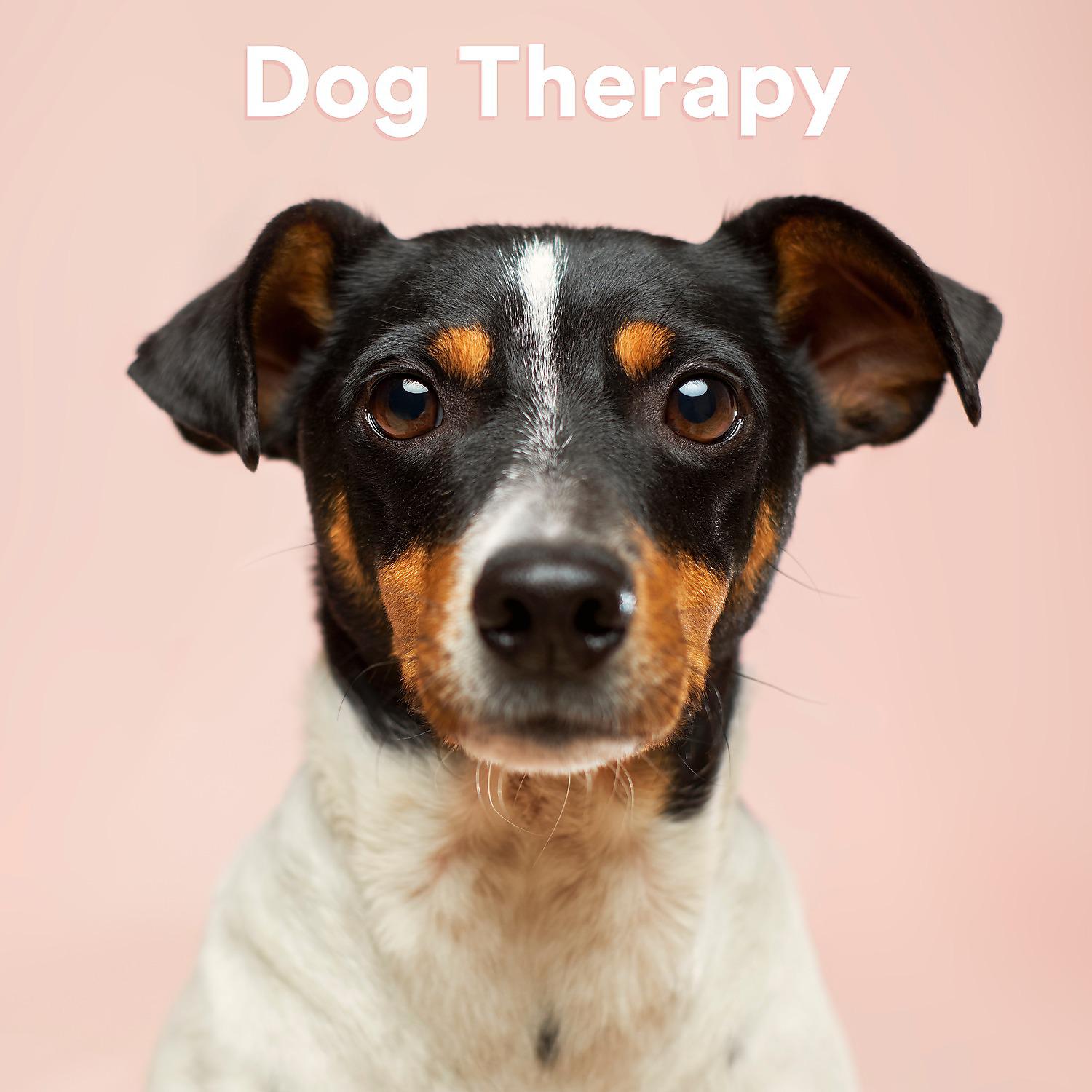 Постер альбома Dog Therapy