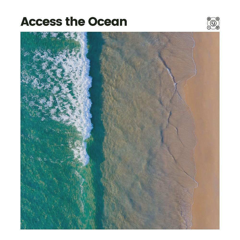 Постер альбома Access the Ocean