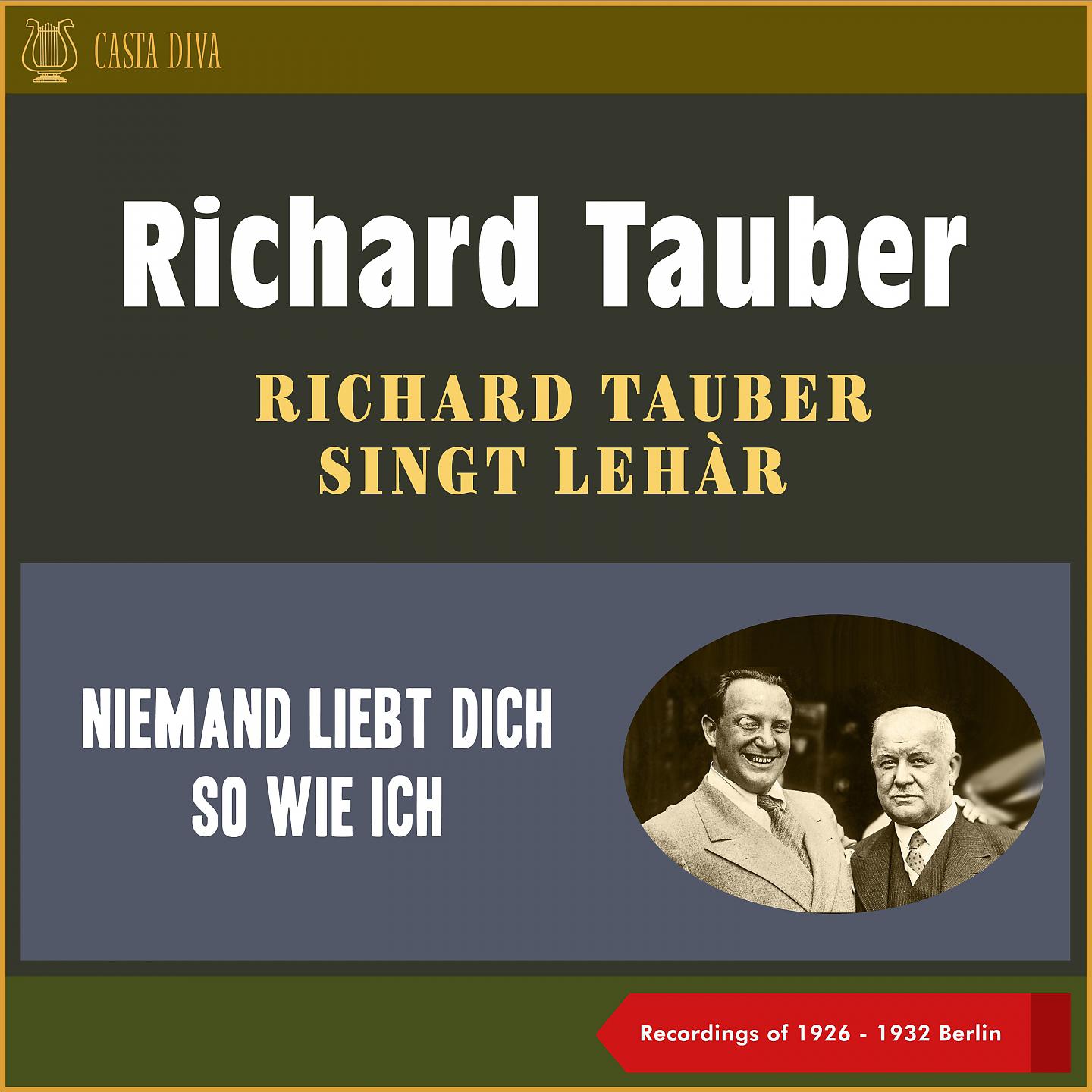 Постер альбома Niemand Liebt Dich so Wie Ich - Richard Tauber Singt Lehàr