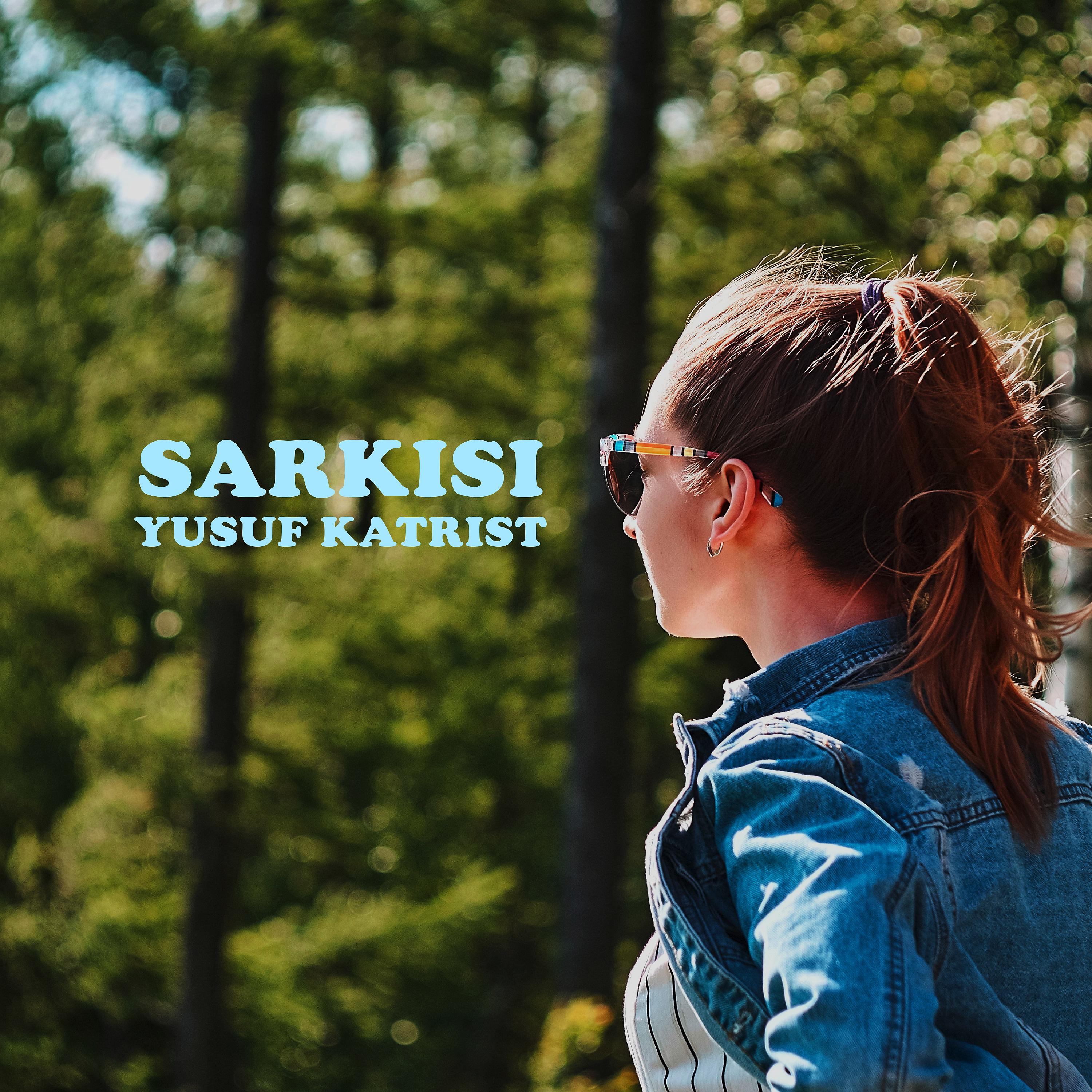 Постер альбома Sarkisi