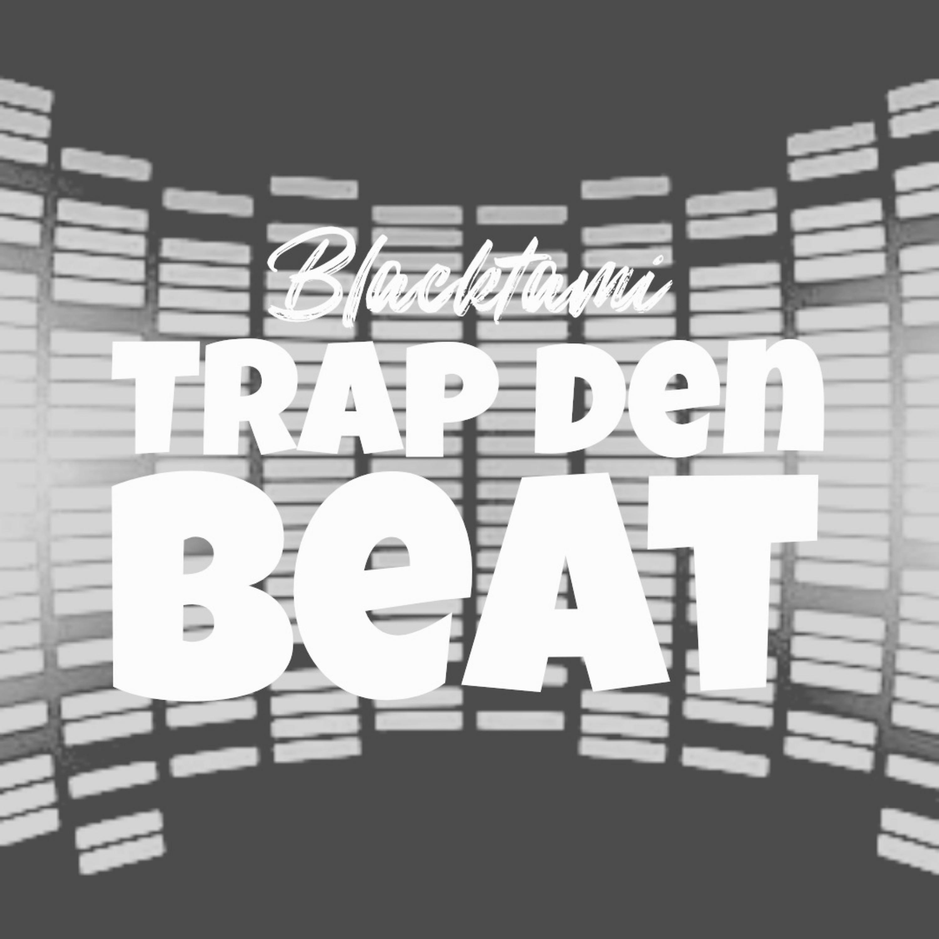 Постер альбома Trap Den Beat