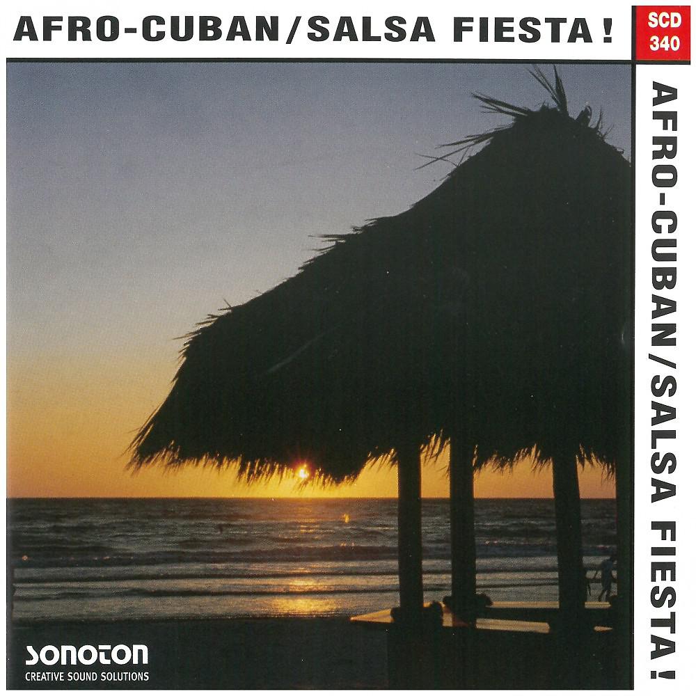 Постер альбома Afro-Cuban / Salsa Fiesta!