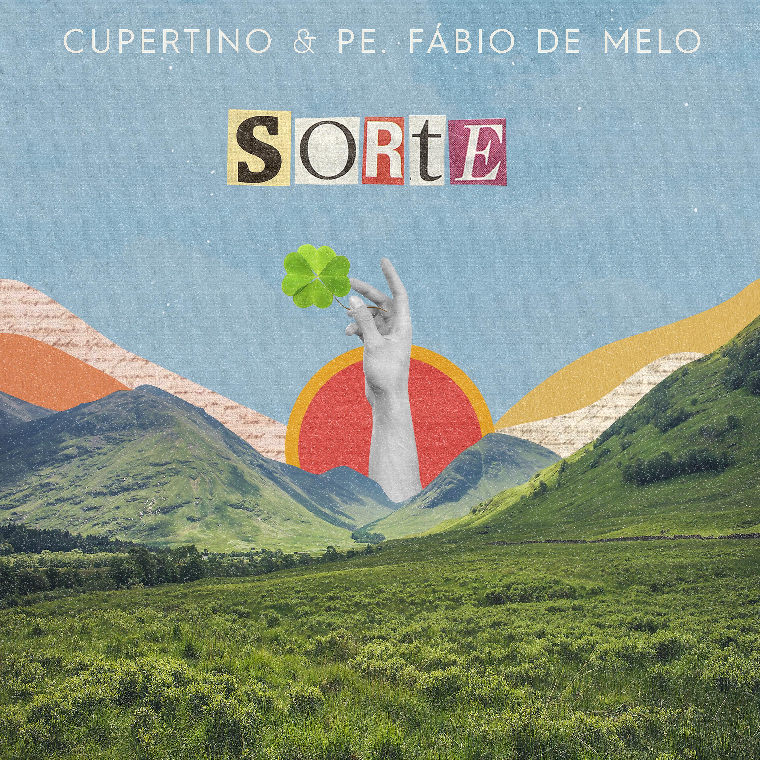 Постер альбома Sorte