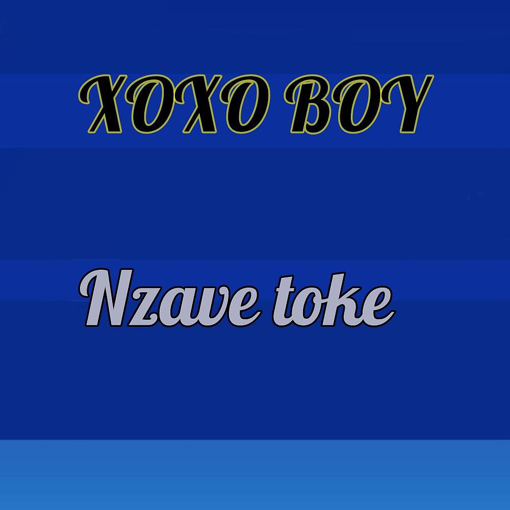 Постер альбома Nzave Toke
