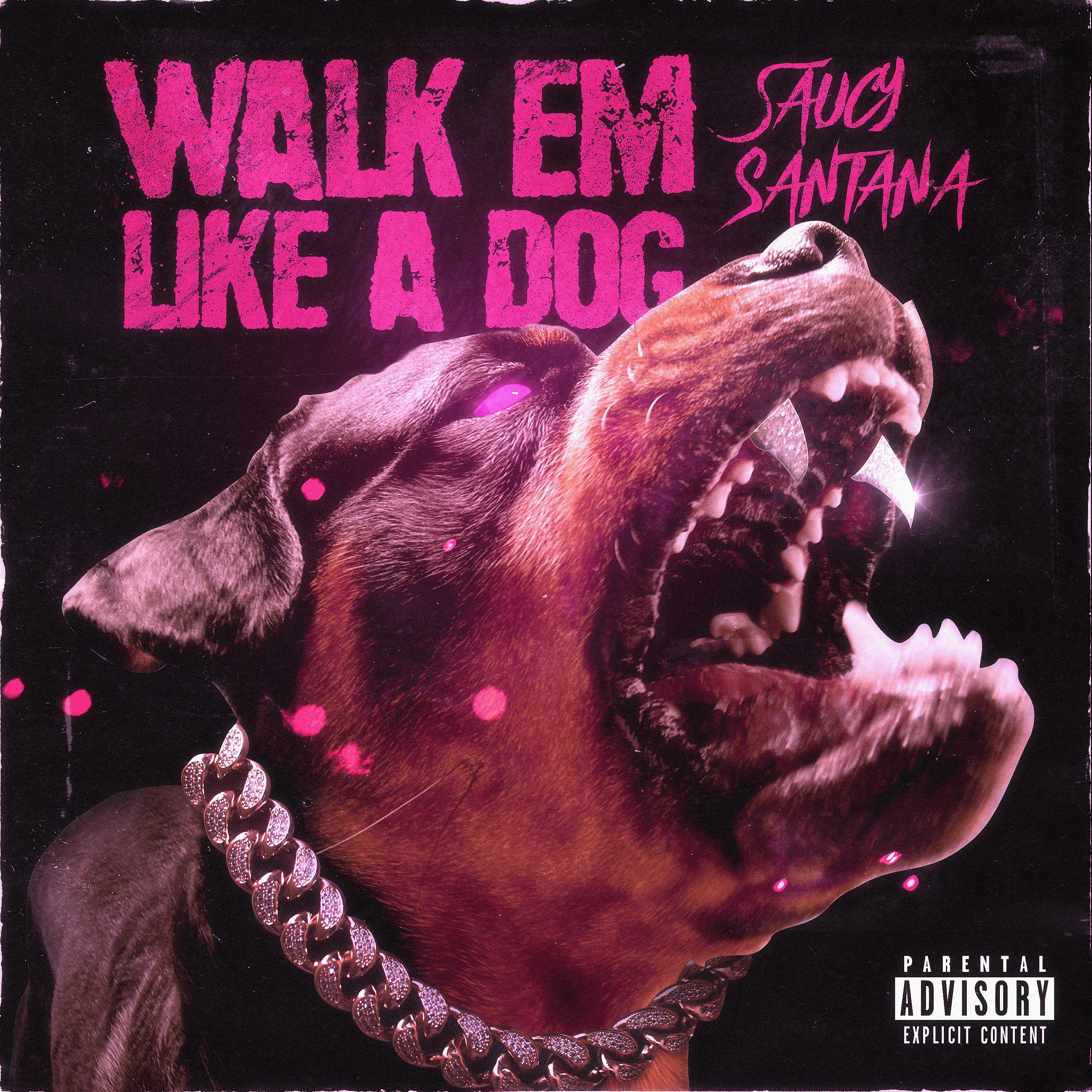Постер альбома Walk Em Like a Dog