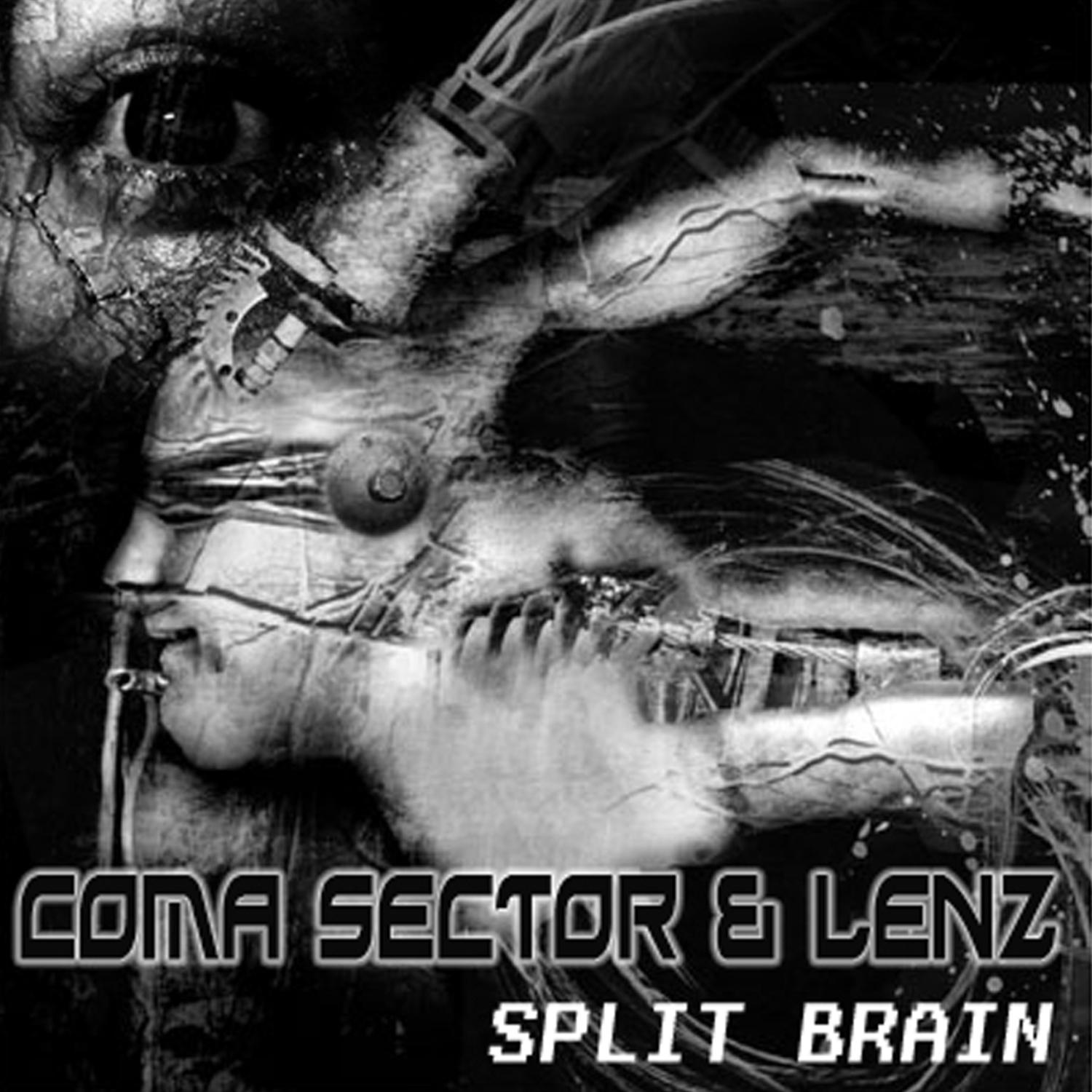 Постер альбома Split Brain
