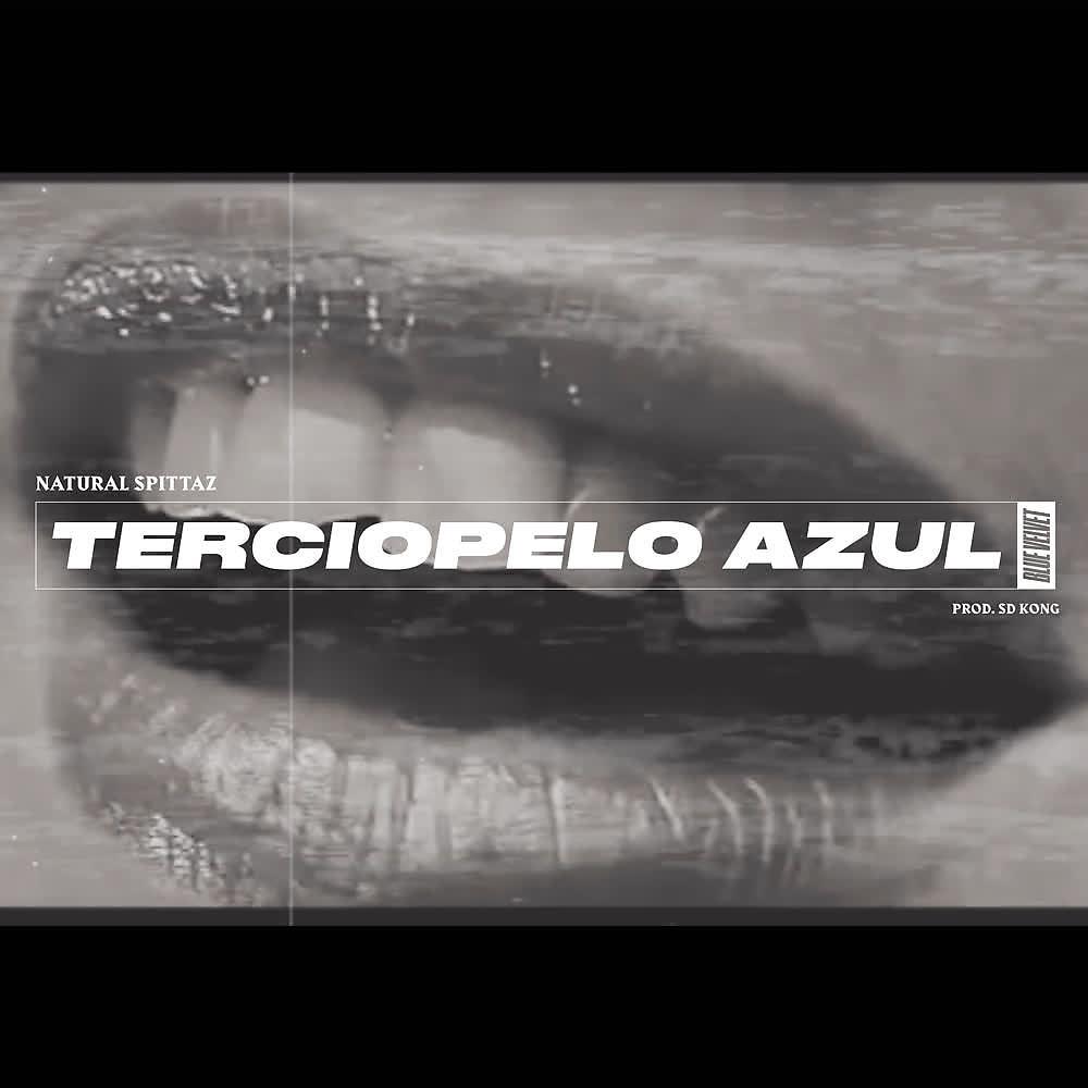 Постер альбома Terciopelo Azul