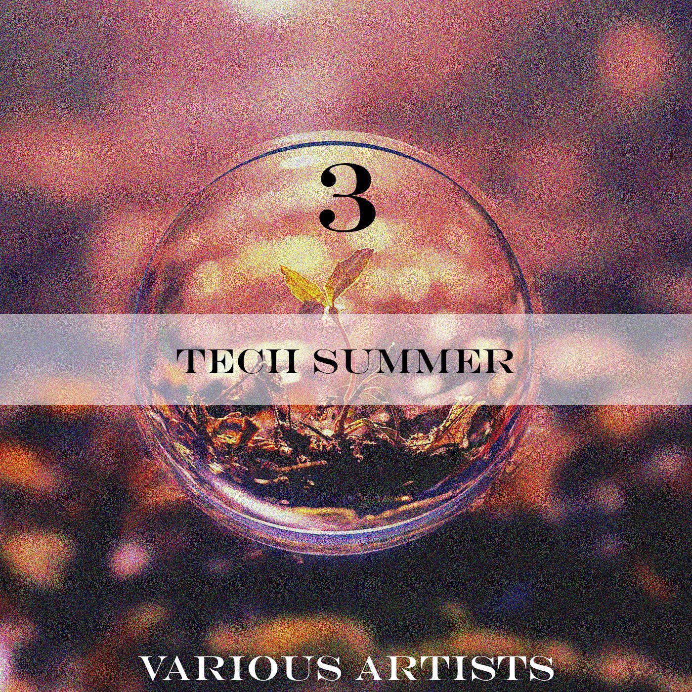 Постер альбома Tech Summer 3