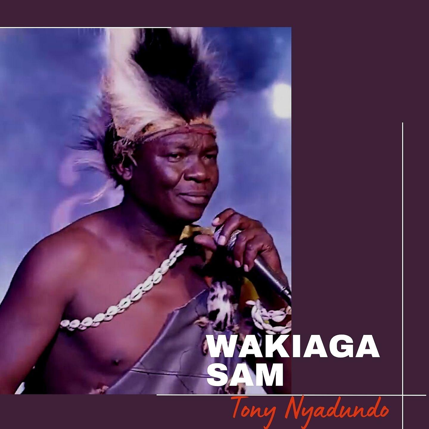 Постер альбома Wakiaga Sam