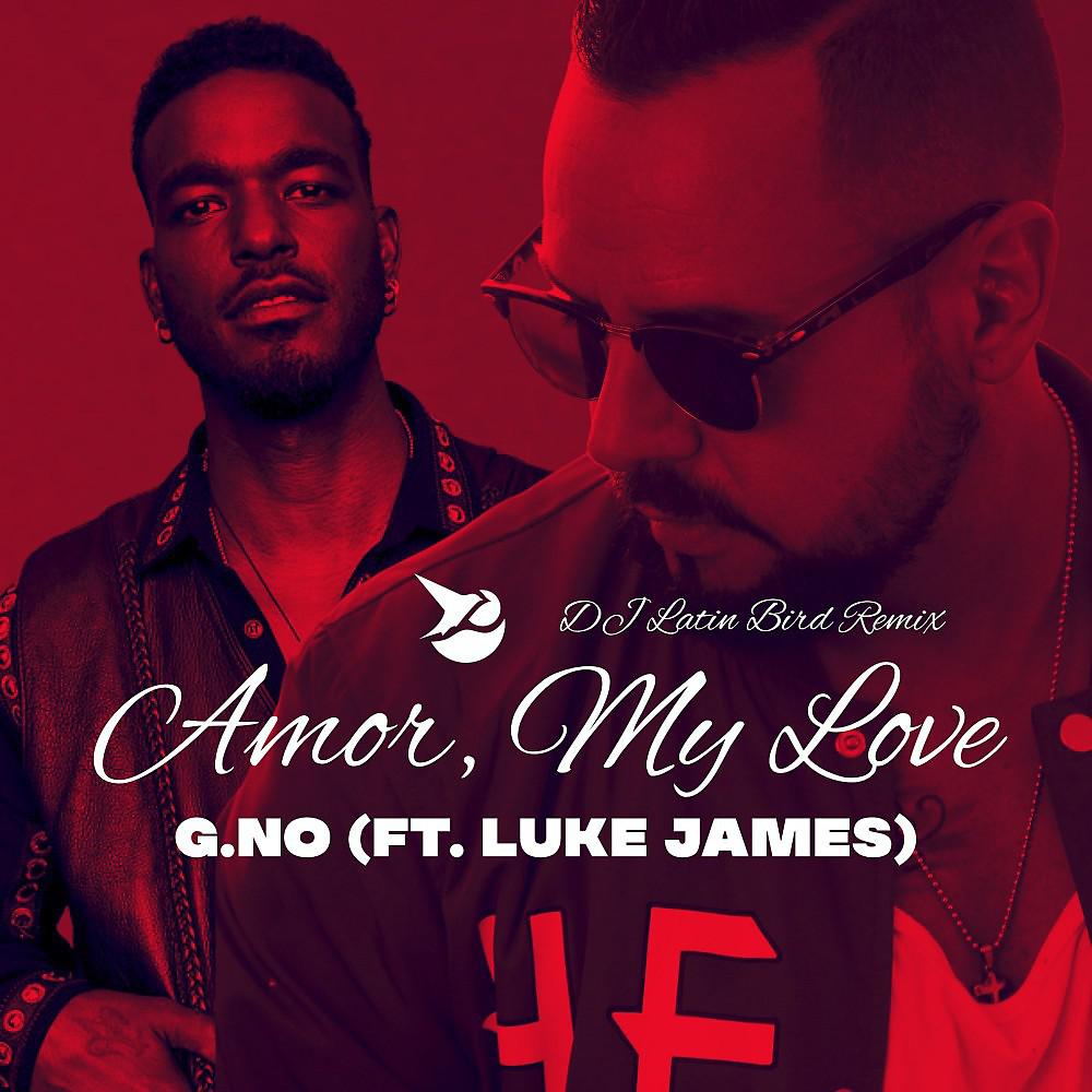 Постер альбома Amor, My Love (DJ Latin Bird Remix)