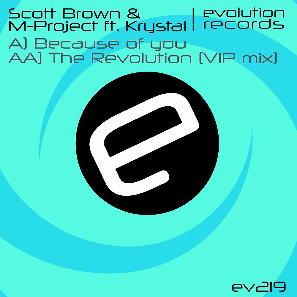 Постер альбома Because of You / The Revolution (VIP Remix)