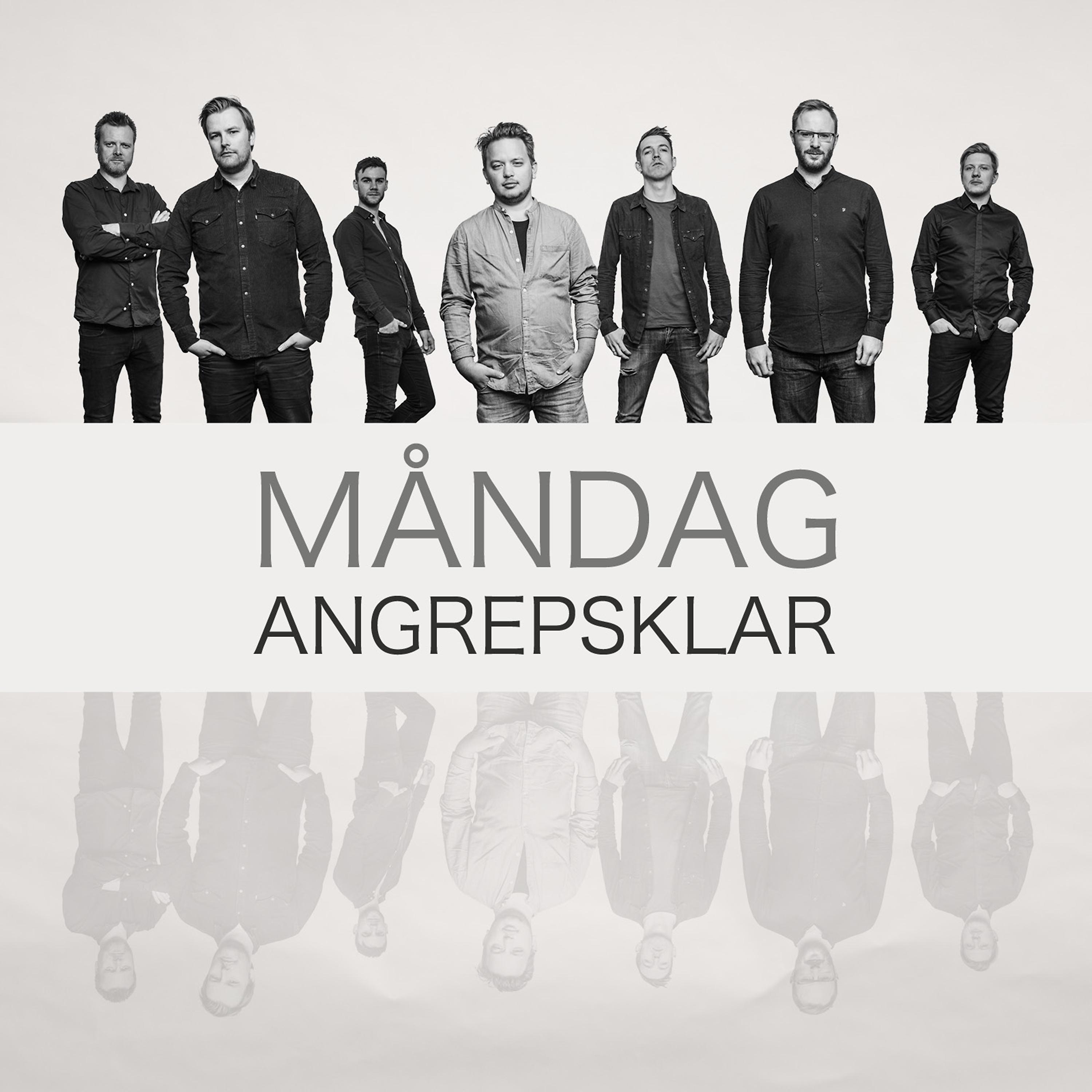 Постер альбома Angrepsklar