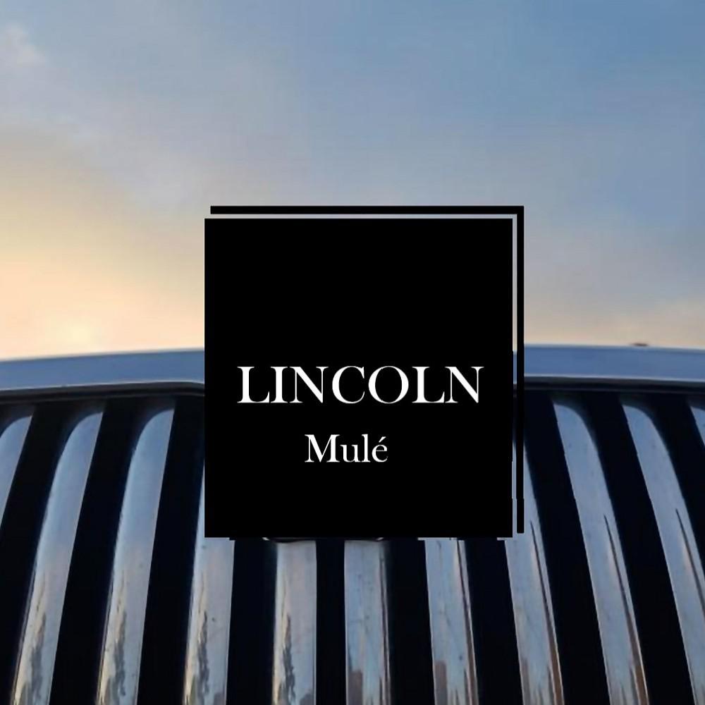Постер альбома Lincoln