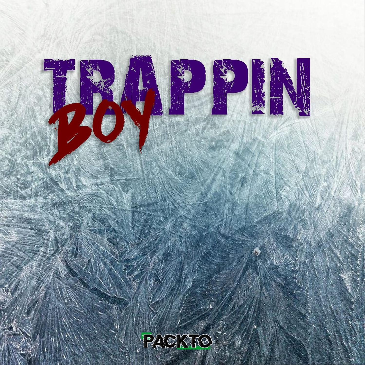 Постер альбома Trappin Boy