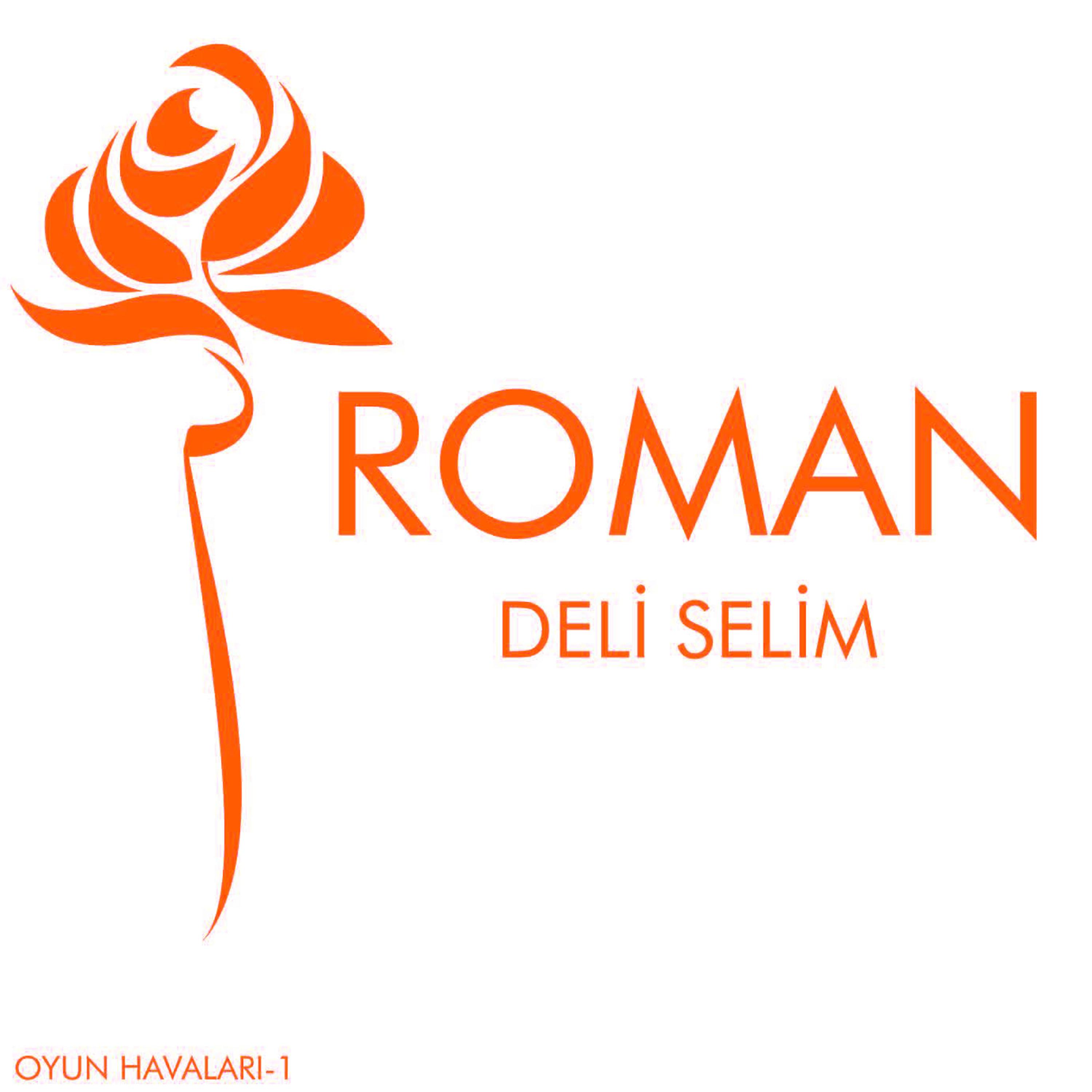 Постер альбома Roman 1