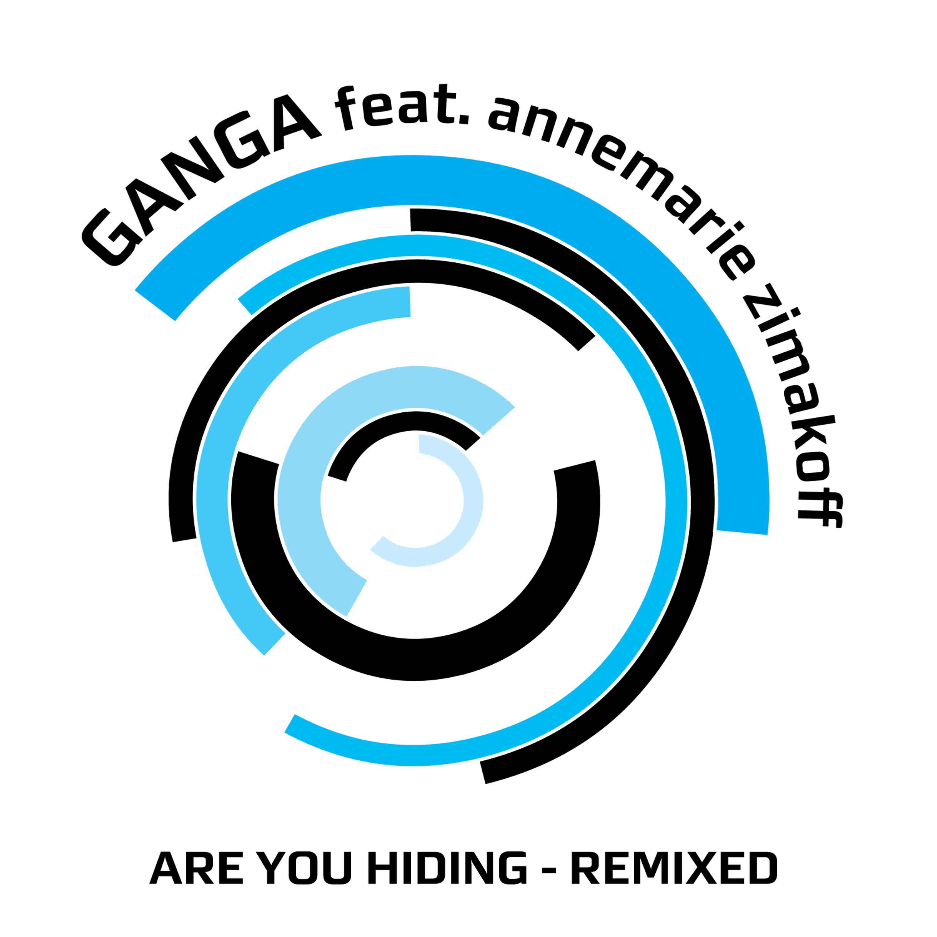 Постер альбома Are You Hiding (Remixed)