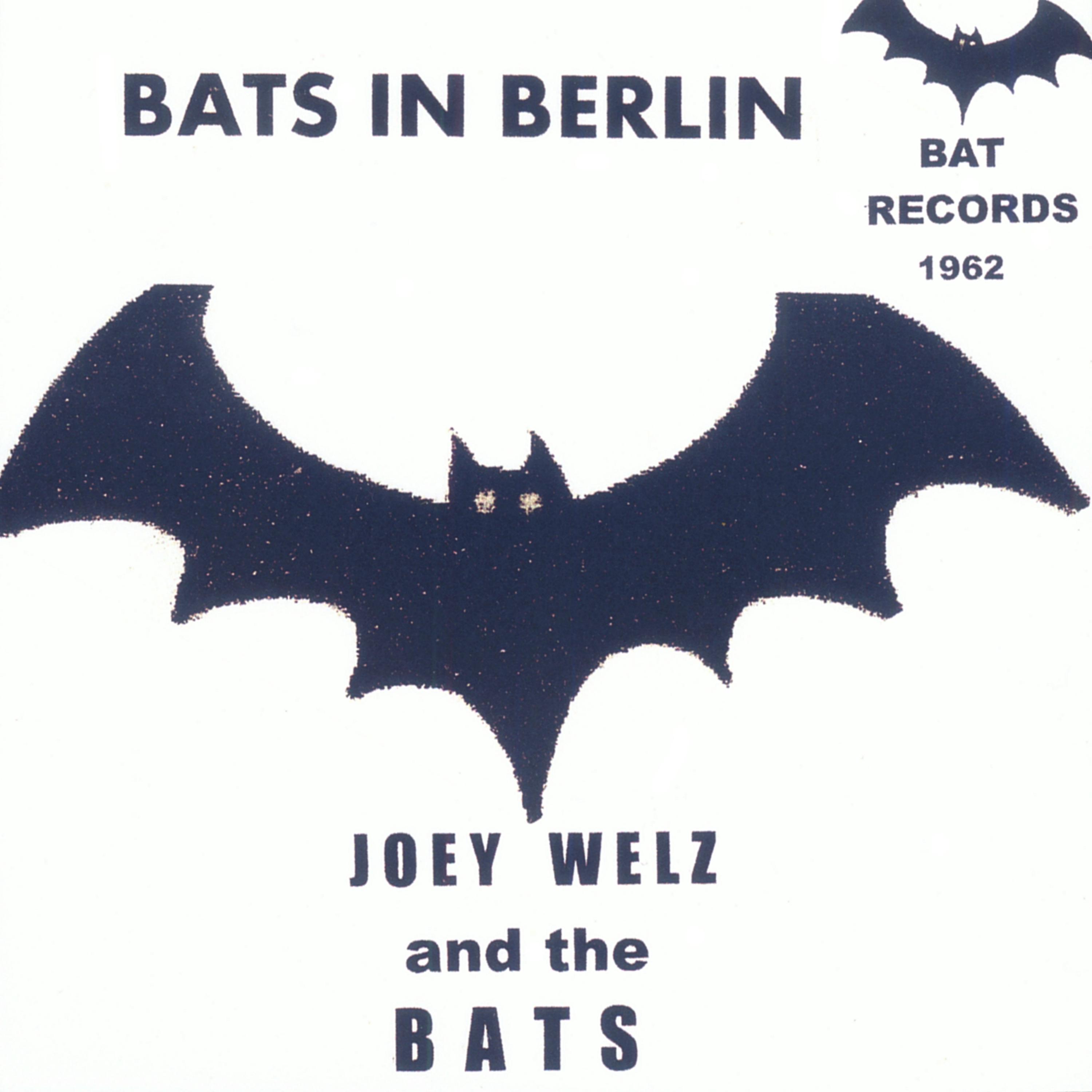 Постер альбома Bats in Berlin