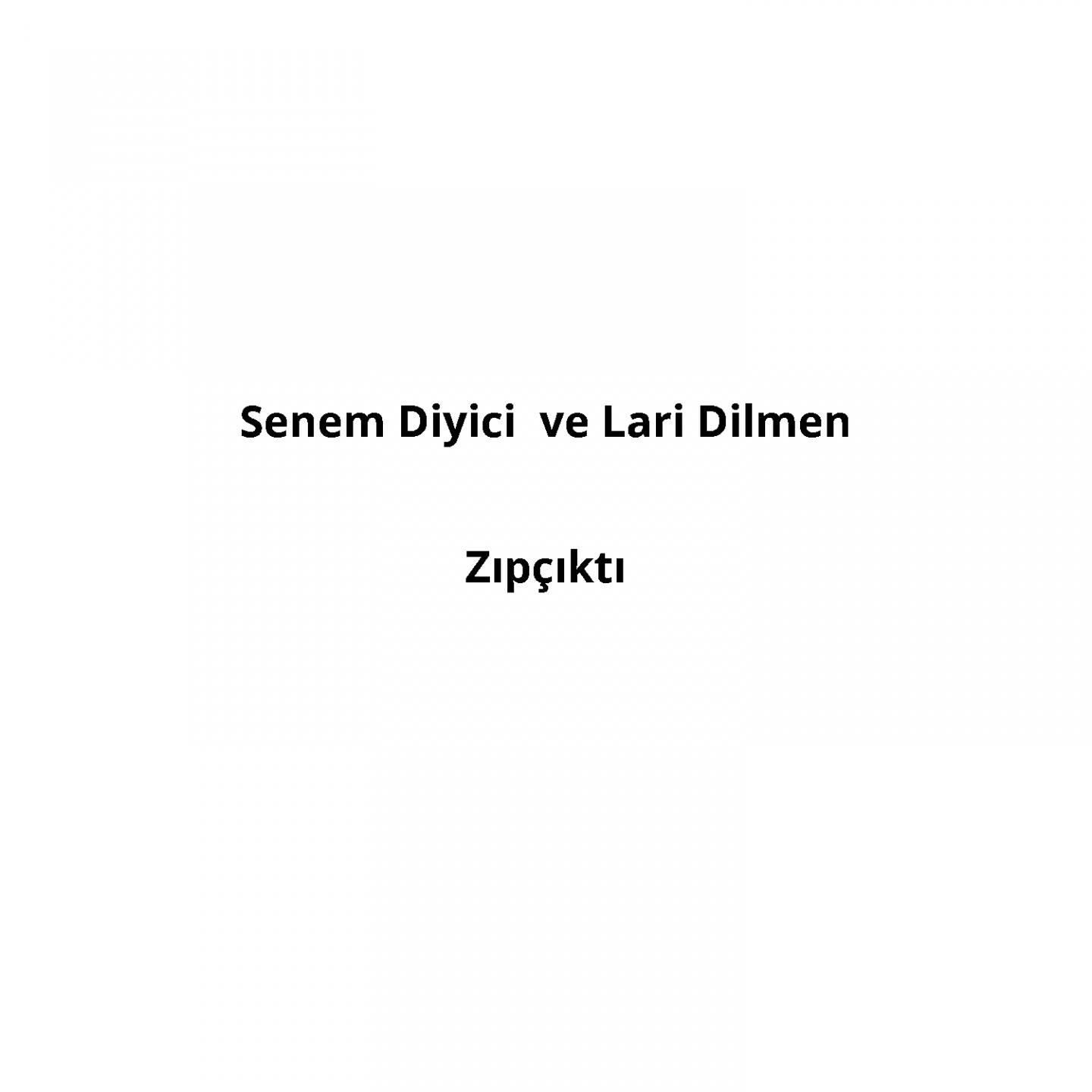 Постер альбома Zıpçıktı