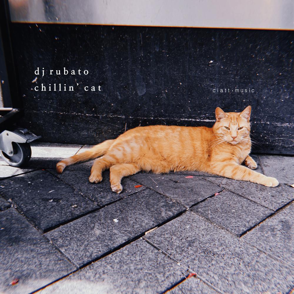Постер альбома Chillin' Cat