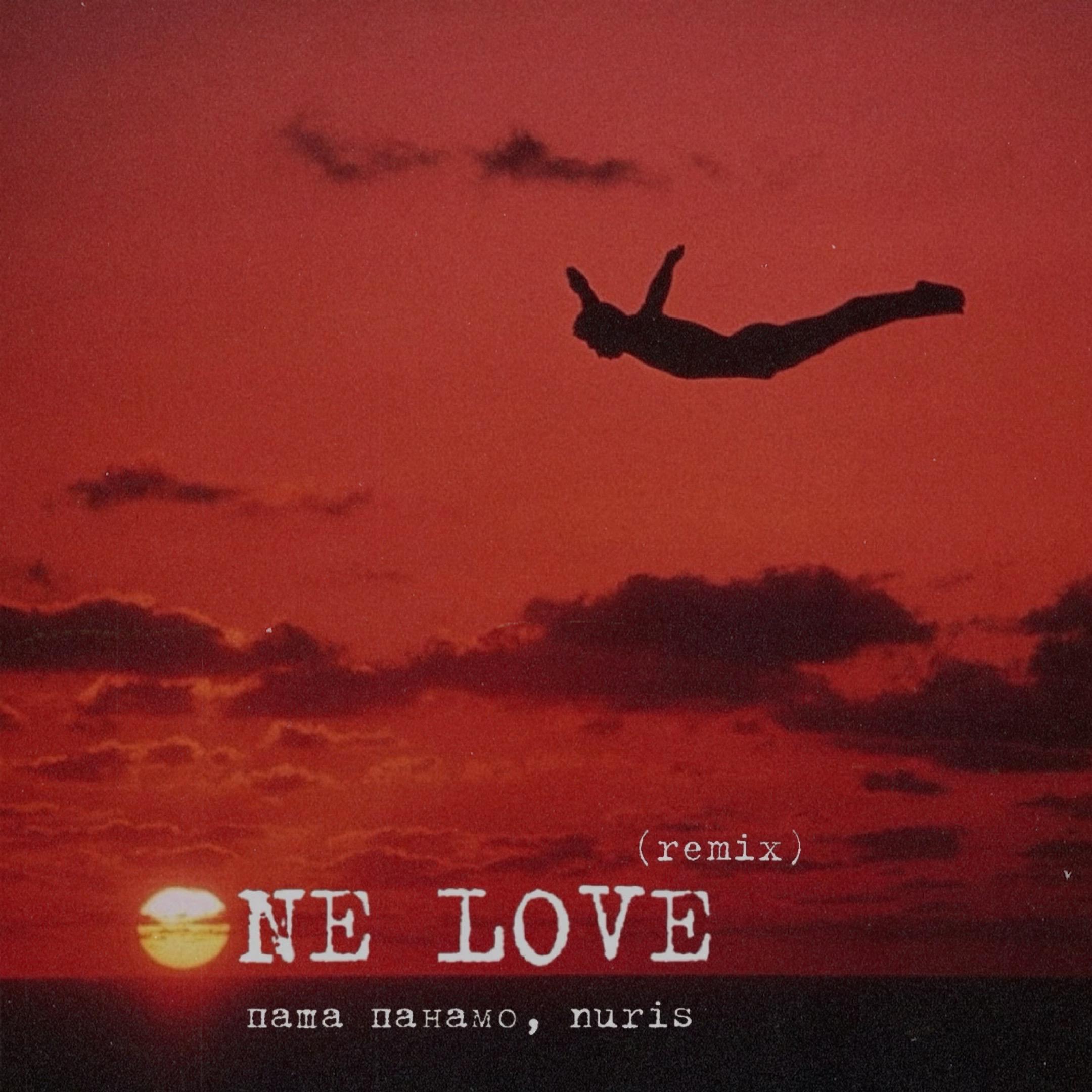 Постер альбома One Love (Remix)