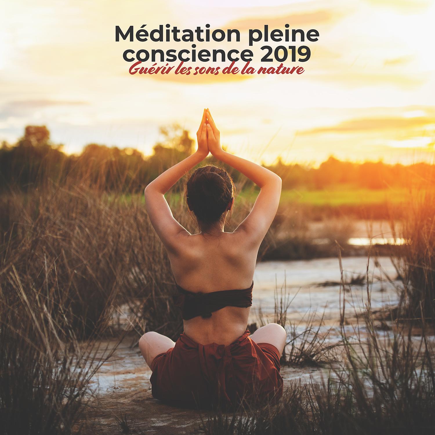 Постер альбома Méditation pleine conscience 2019: Guérir les sons de la nature - Yoga spirituel, Massage au spa, Cure d'insomnie, Reiki, Étudier la musique