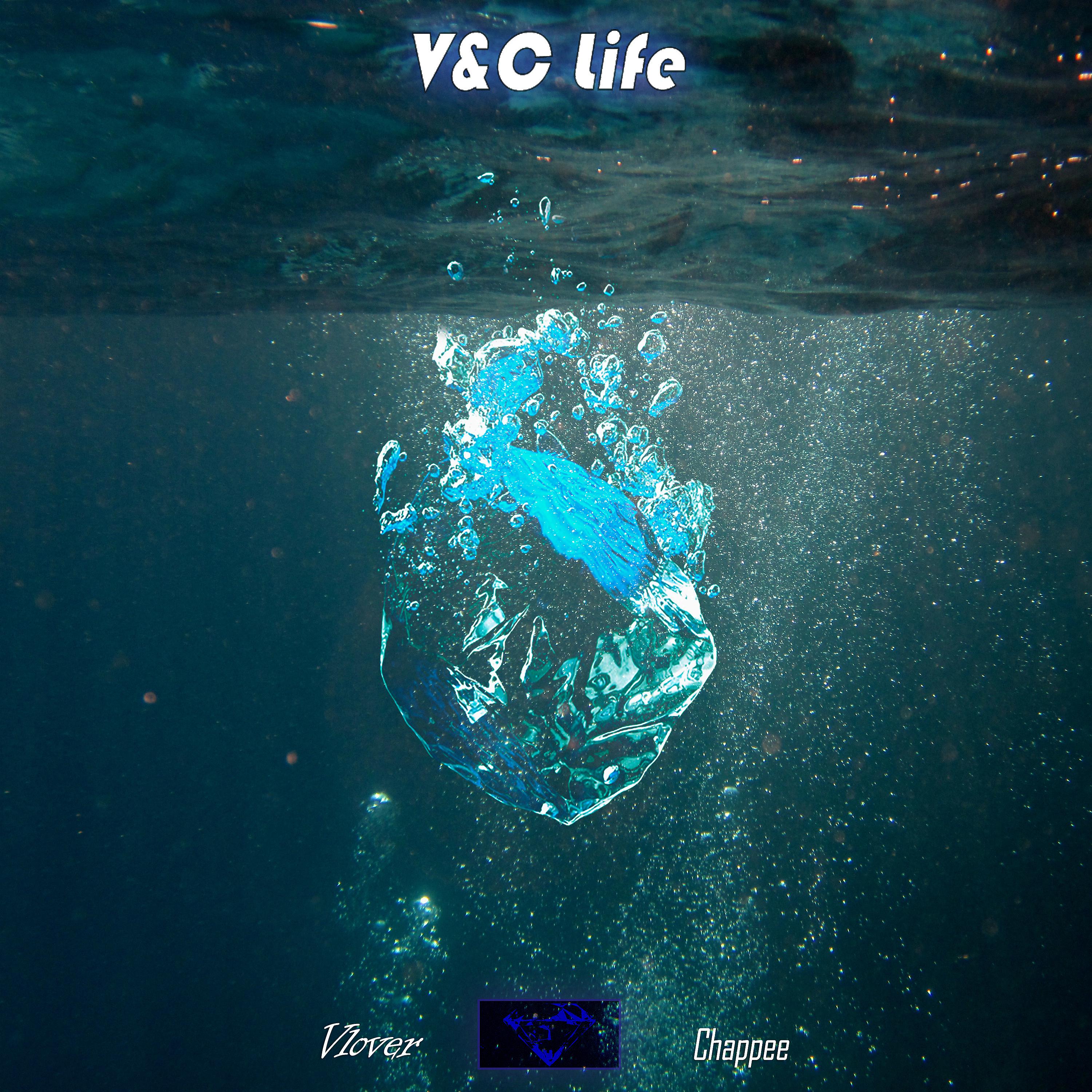 Постер альбома V&C Life