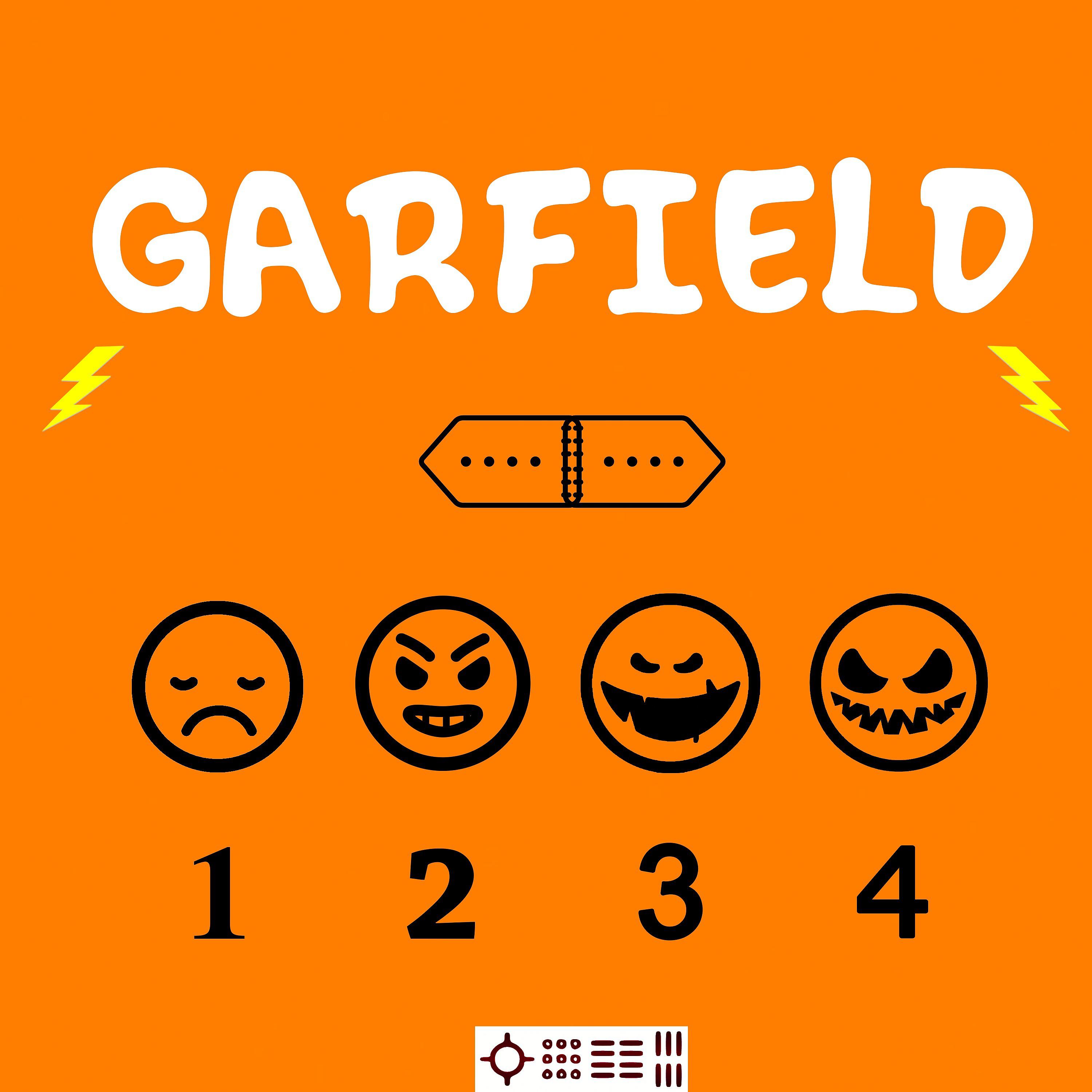 Постер альбома Garfield