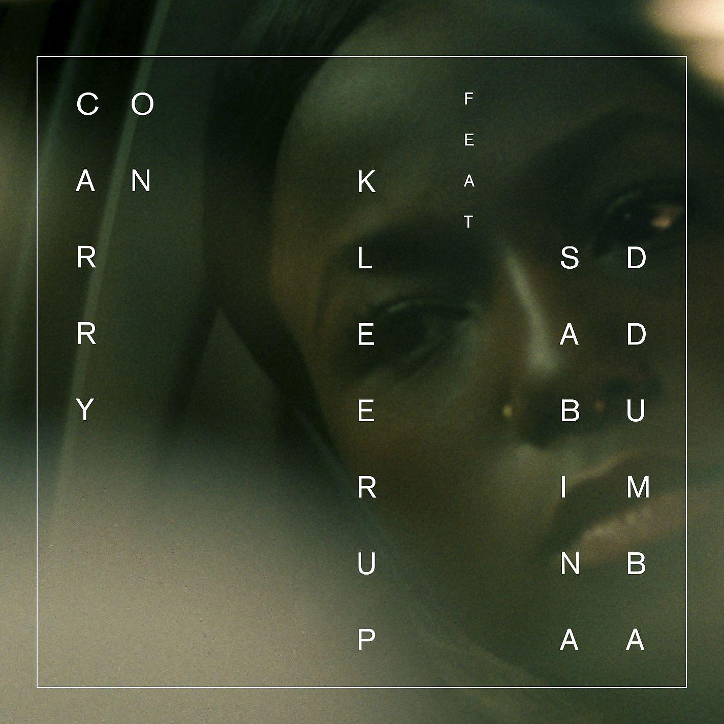 Постер альбома Carry On (feat. Sabina Ddumba)