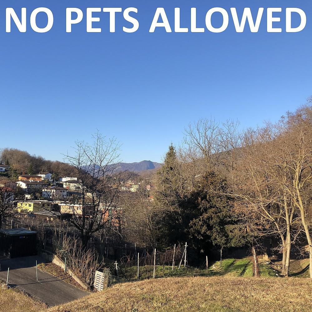 Постер альбома No Pets Allowed